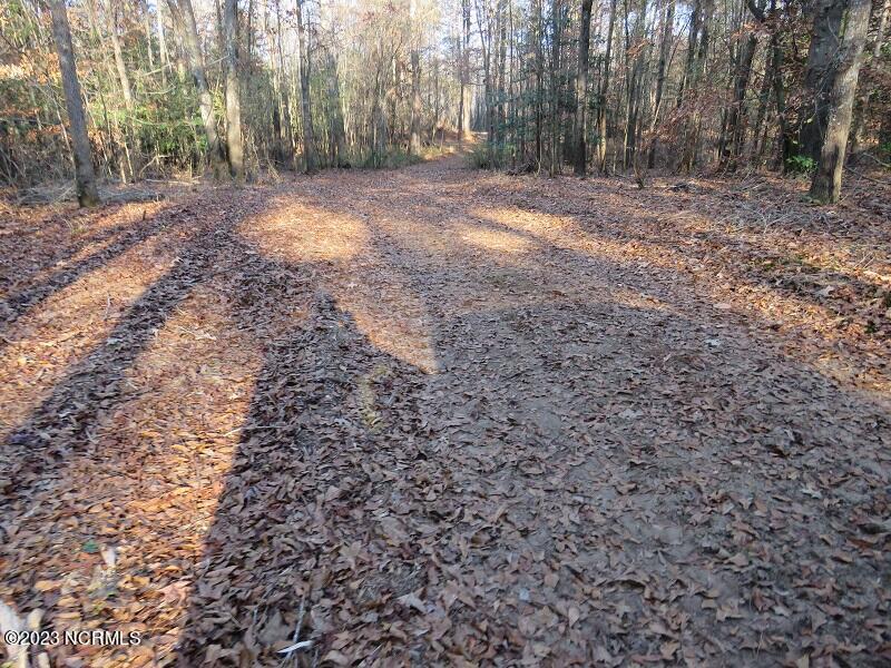 0 Off Nc 87 Highway Property Photo 20