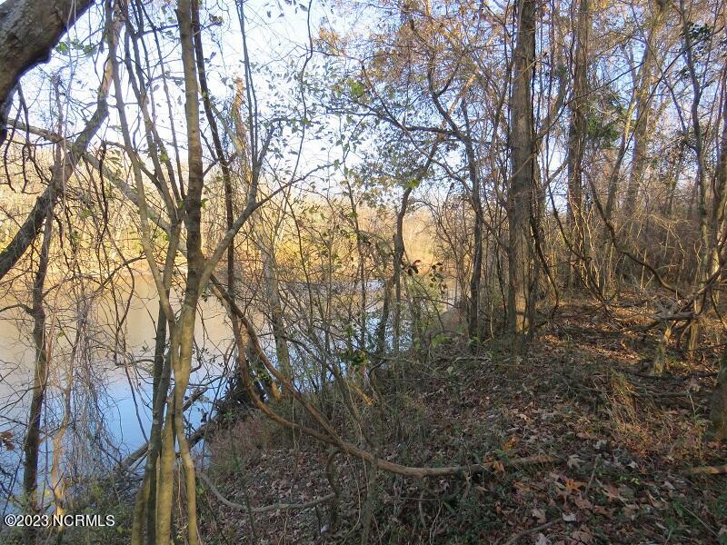 0 Off Nc 87 Highway Property Photo 22
