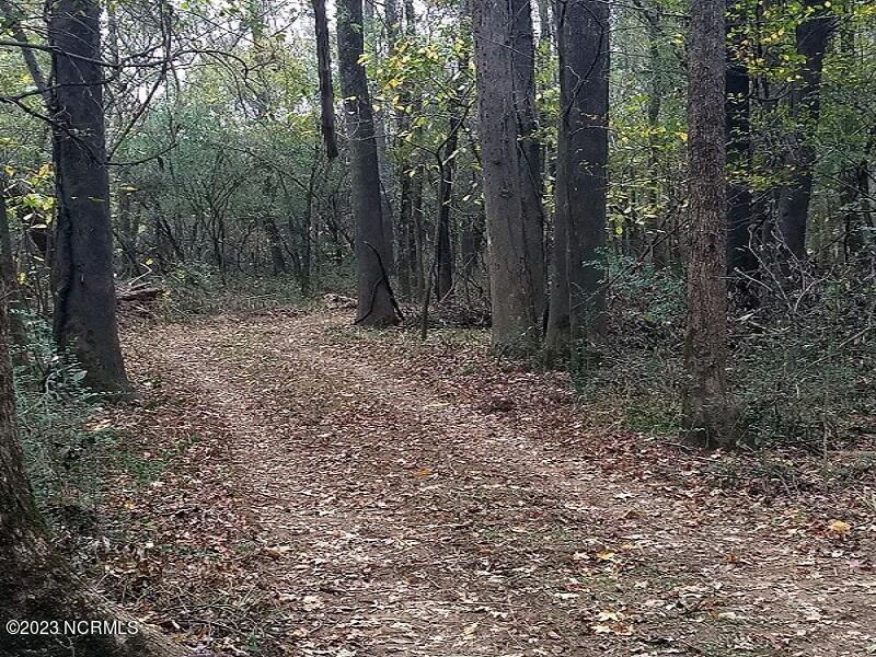 0 Off Nc 87 Highway Property Photo 24