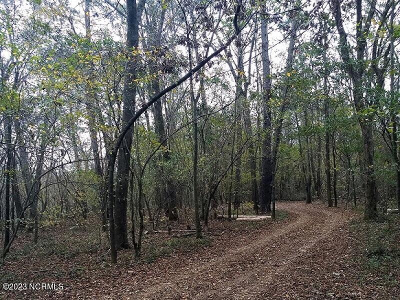 0 Off Nc 87 Highway Property Photo 26