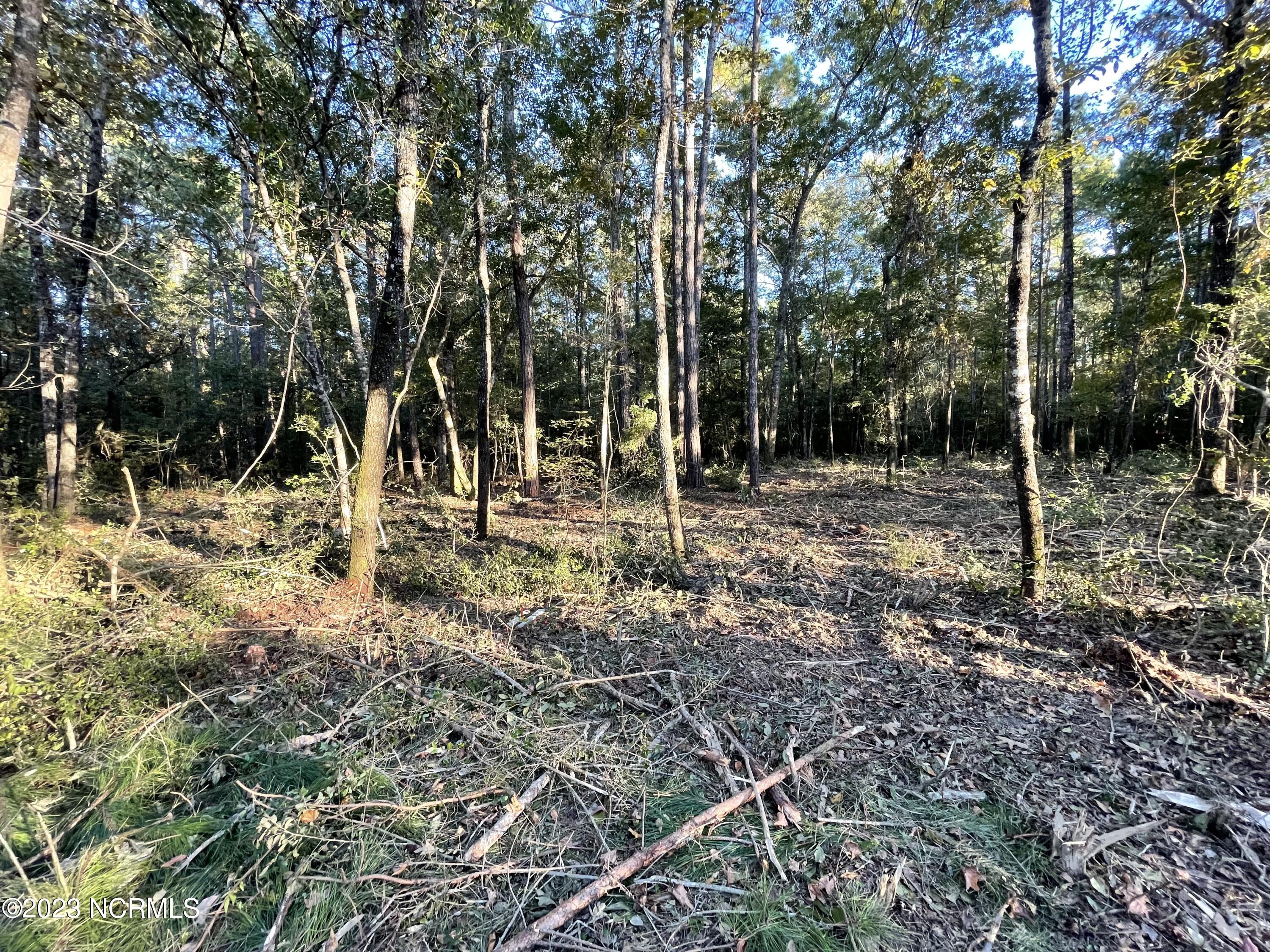 691 Eastwind Drive Property Photo 3