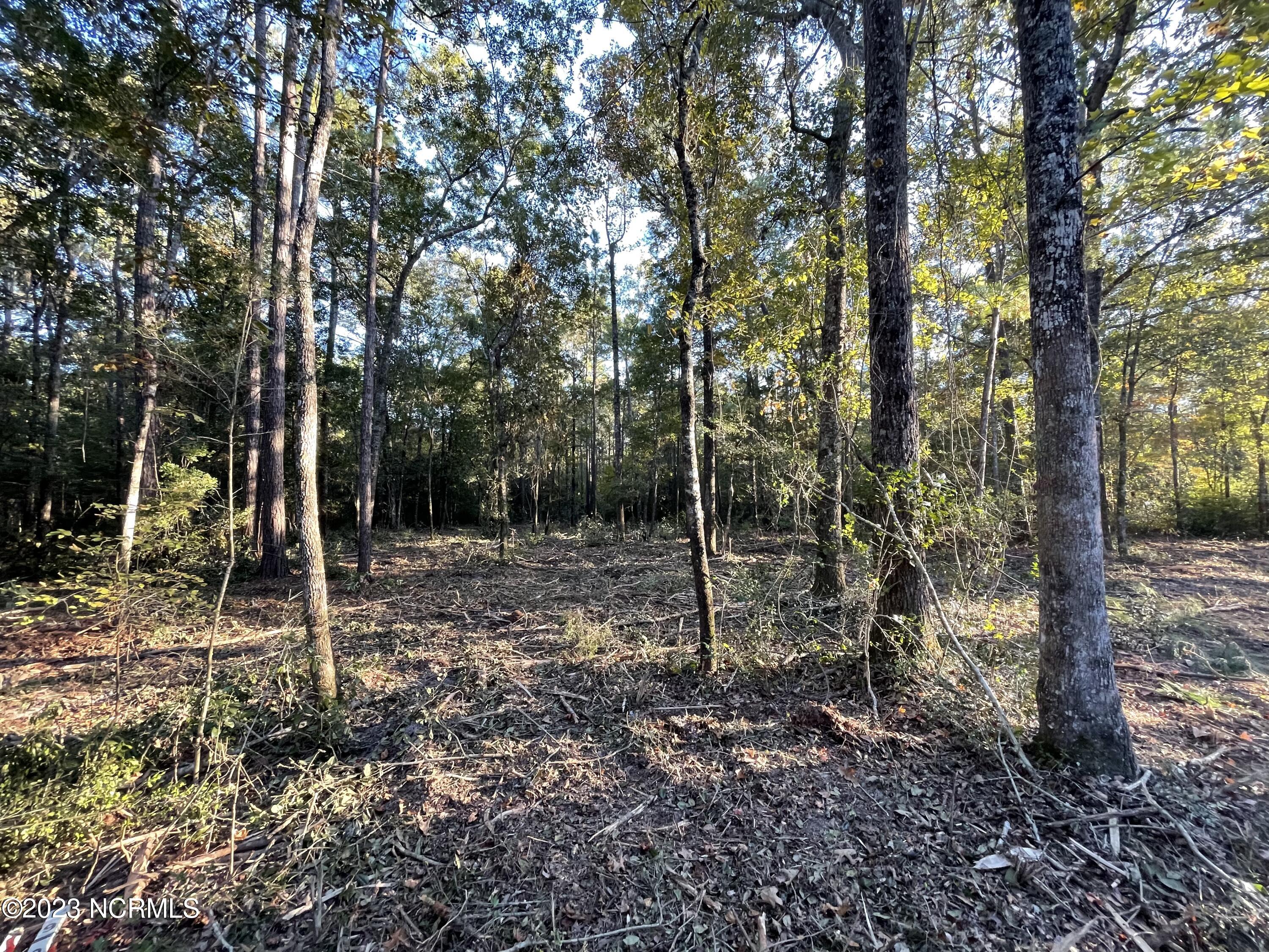 691 Eastwind Drive Property Photo 4