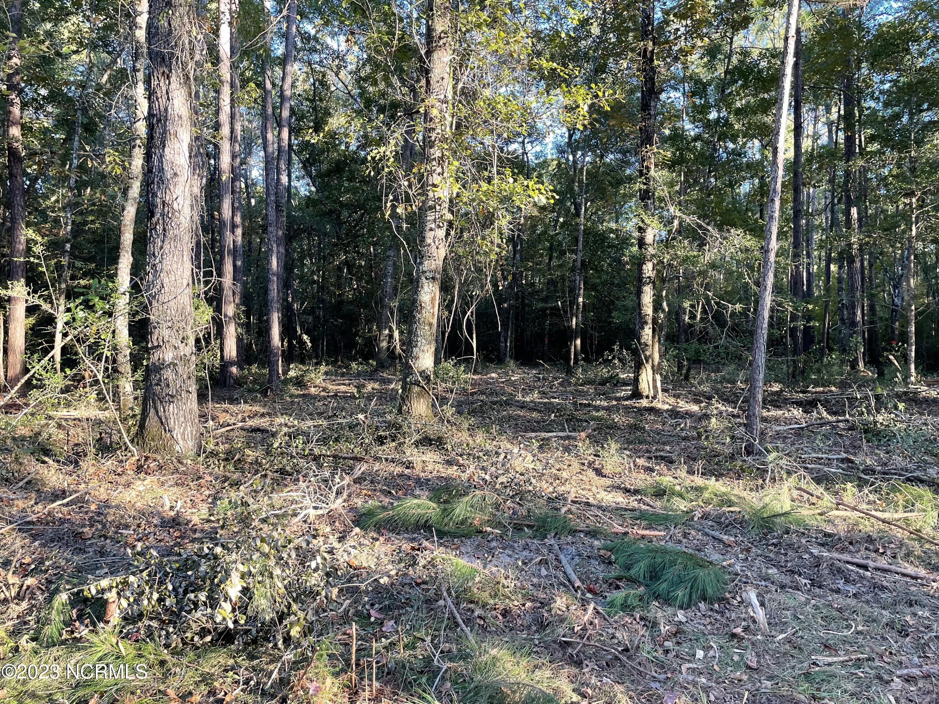 691 Eastwind Drive Property Photo 8