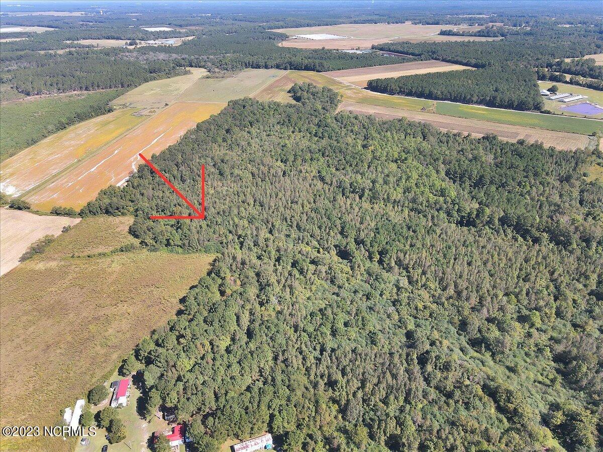 1953 Pasture Branch Rd Road Property Photo 5