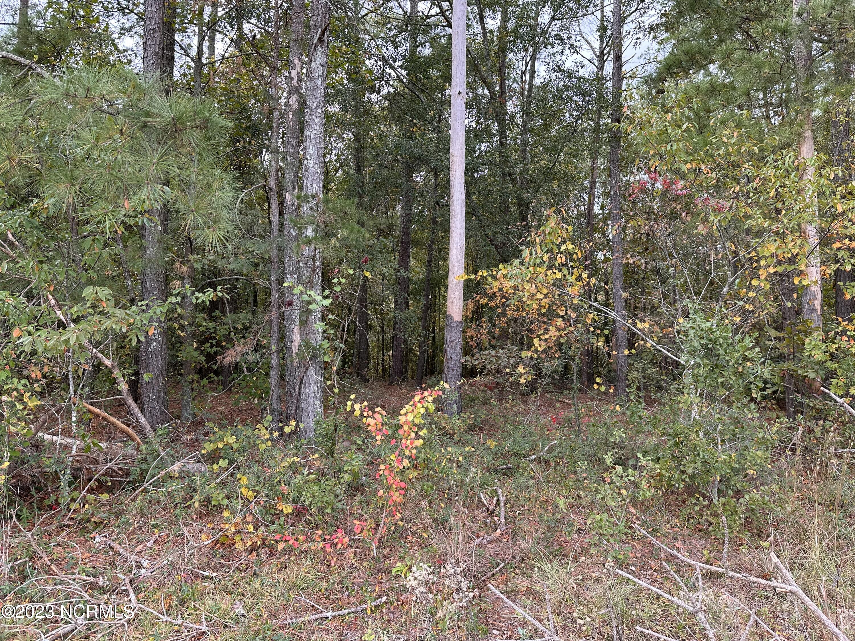 Tract 1 1 Matilda Drive Property Photo 1
