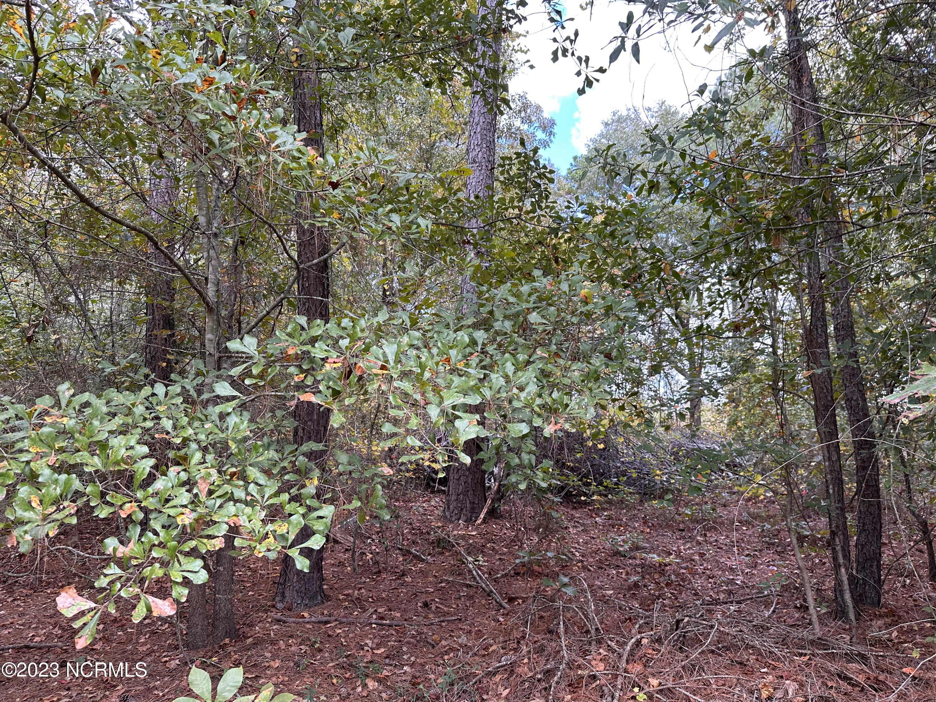 Tract 1 1 Matilda Drive Property Photo 2