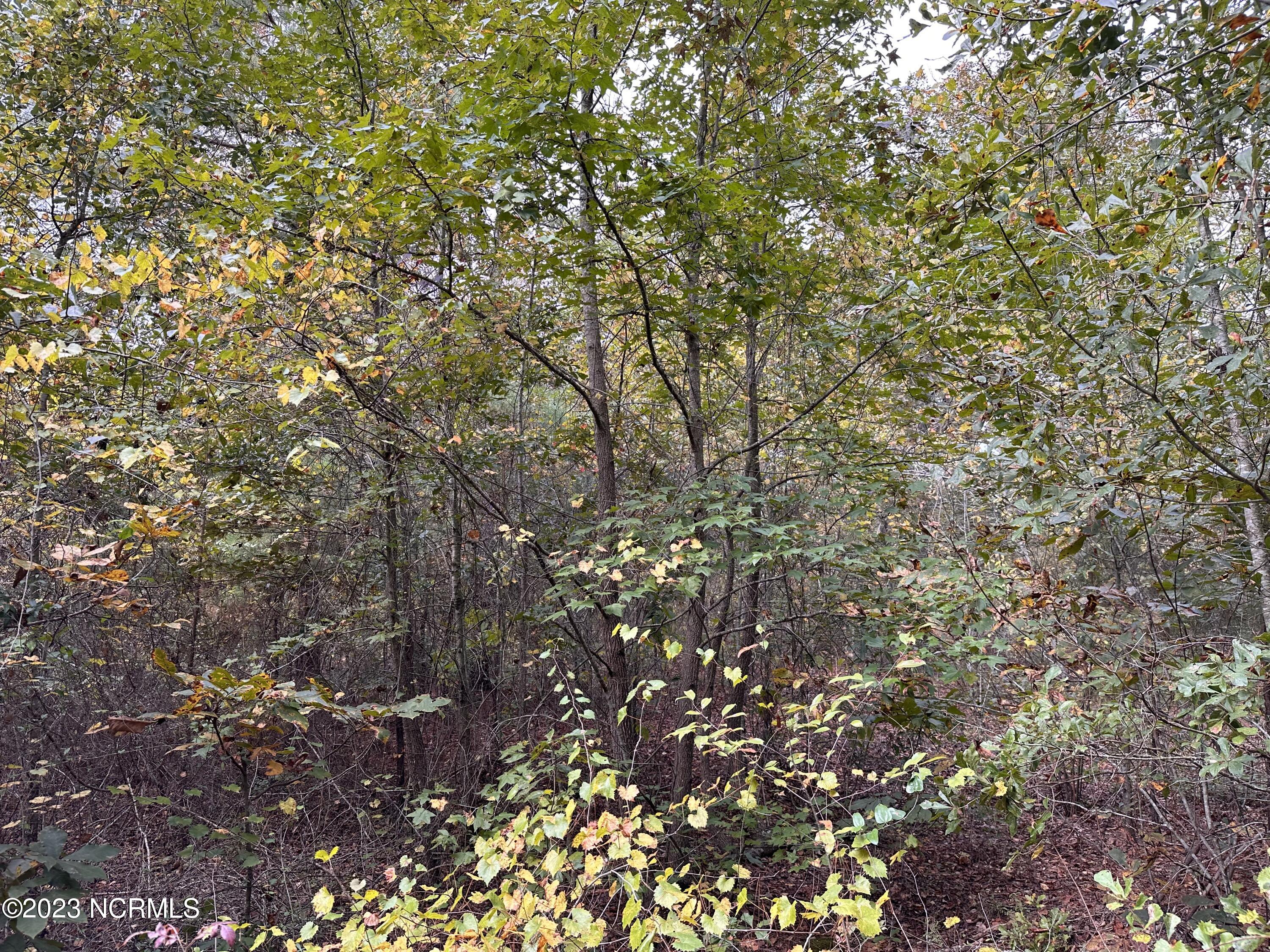 Tract 1 1 Matilda Drive Property Photo 3