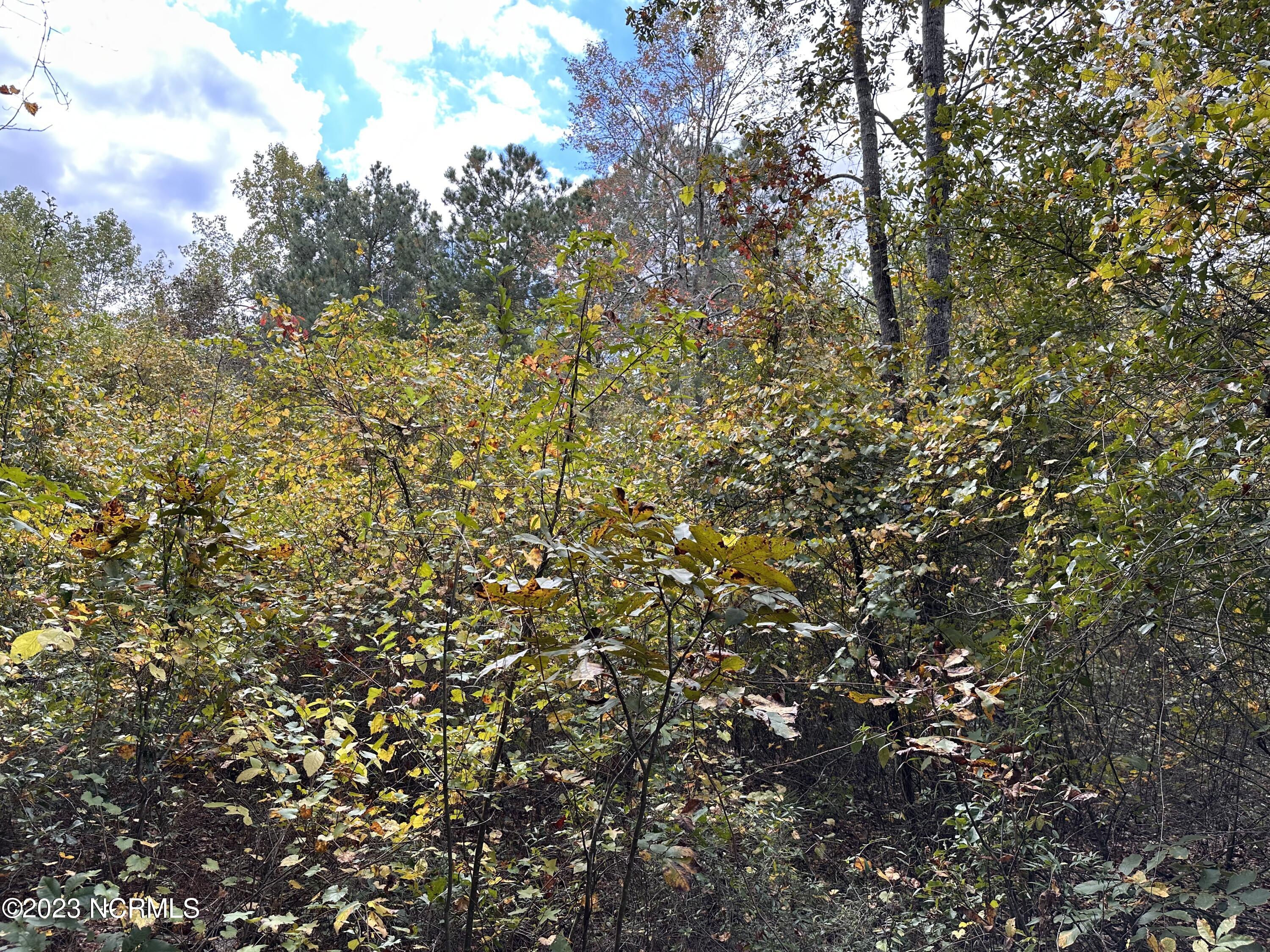 Tract 1 1 Matilda Drive Property Photo 4
