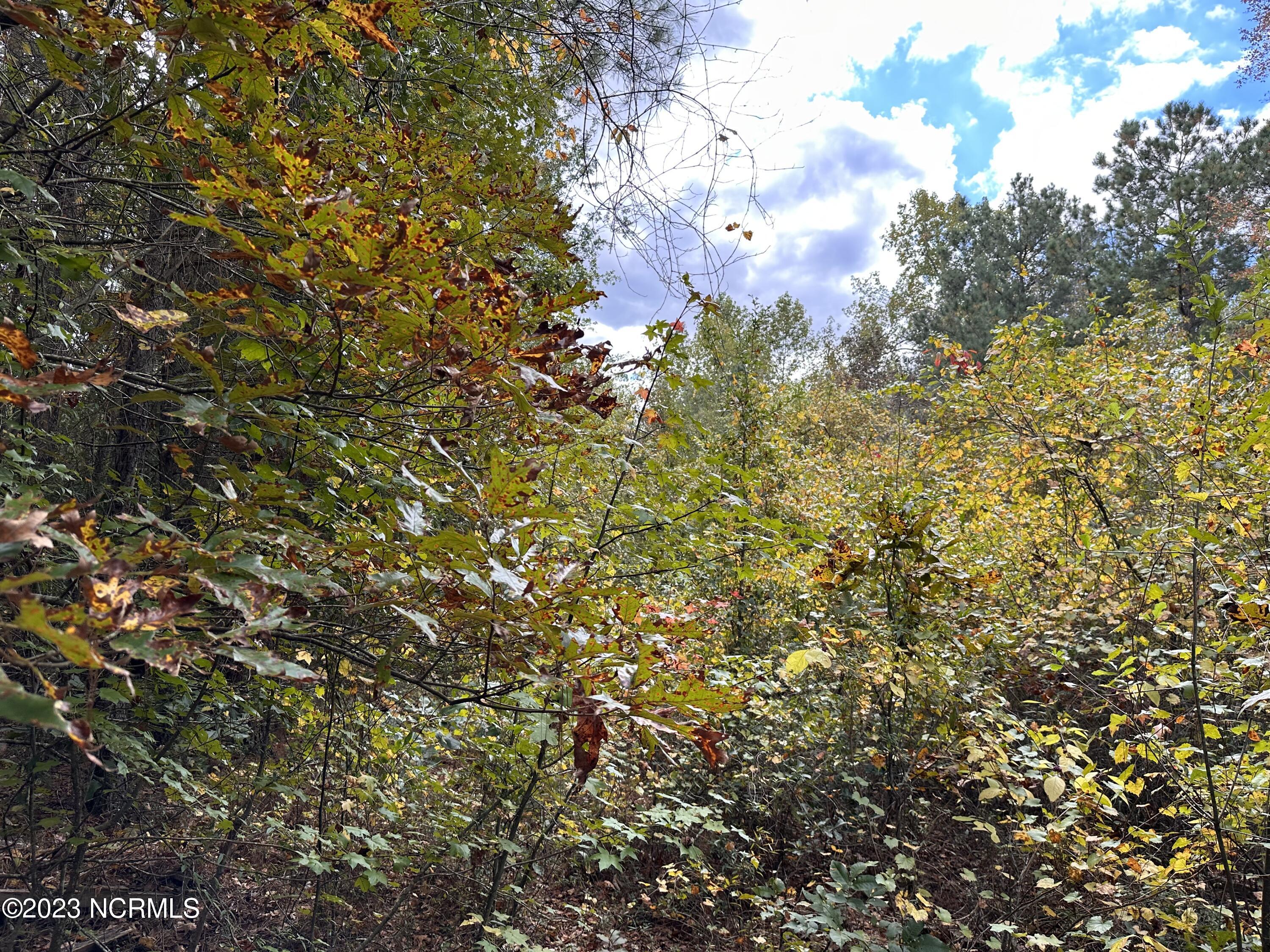 Tract 1 1 Matilda Drive Property Photo 5