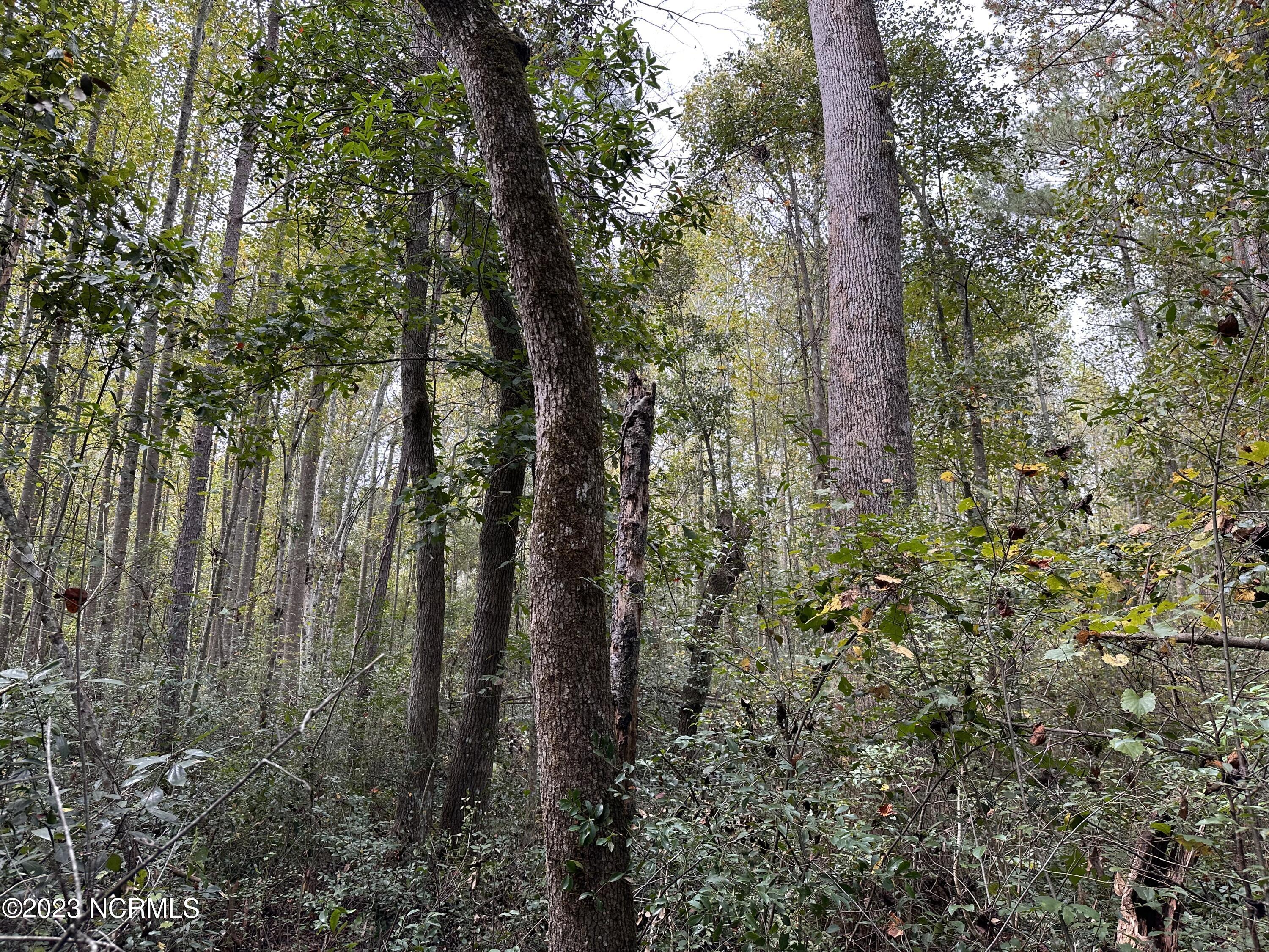 Tract 1 1 Matilda Drive Property Photo 6