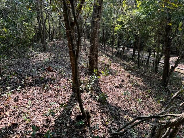 Lot 9-r West Ridge Property Photo 2