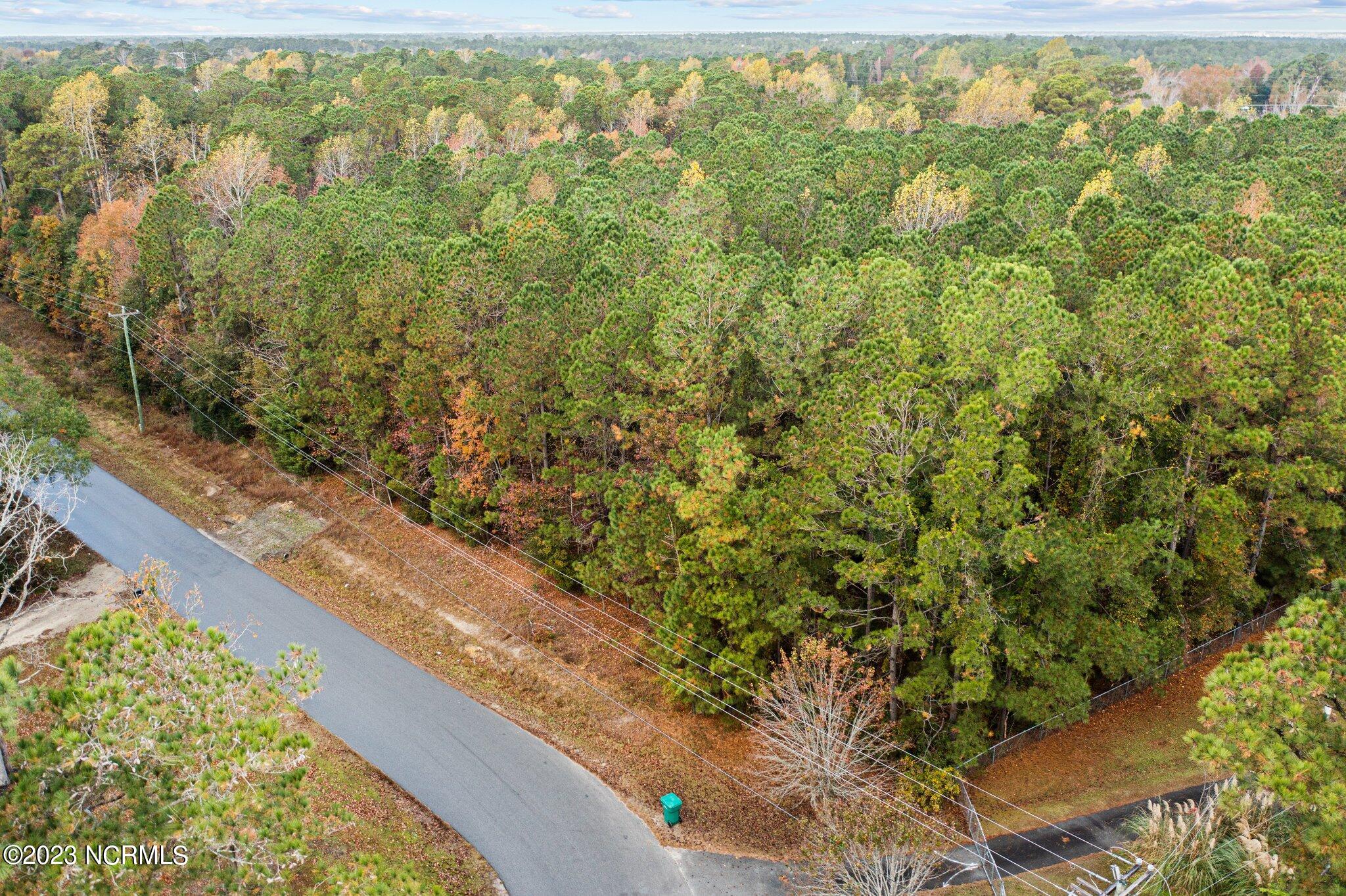 131 Henson Road Property Photo 2