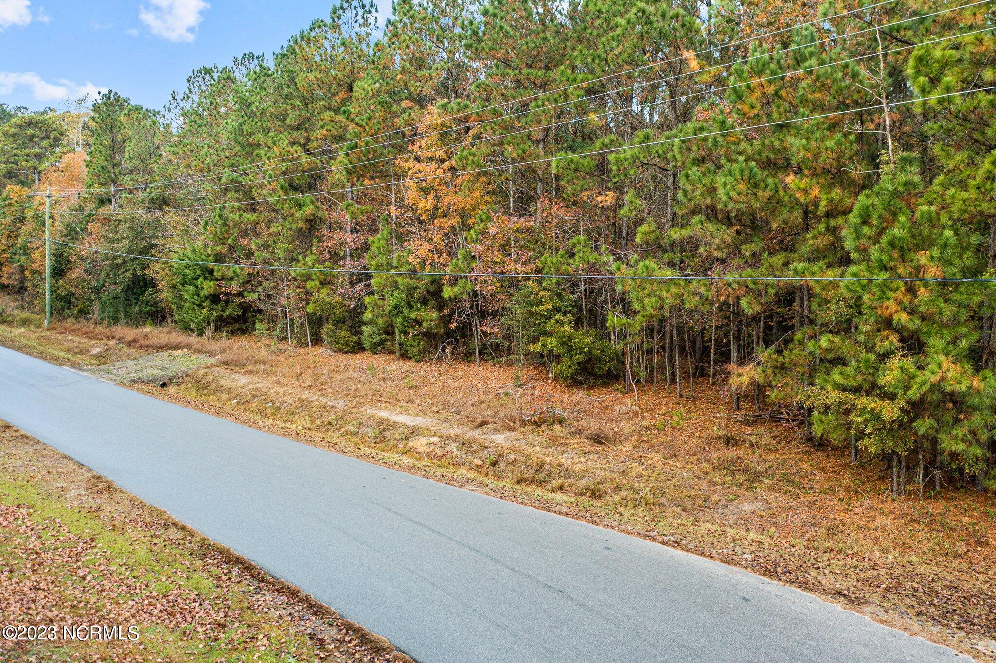 131 Henson Road Property Photo 3