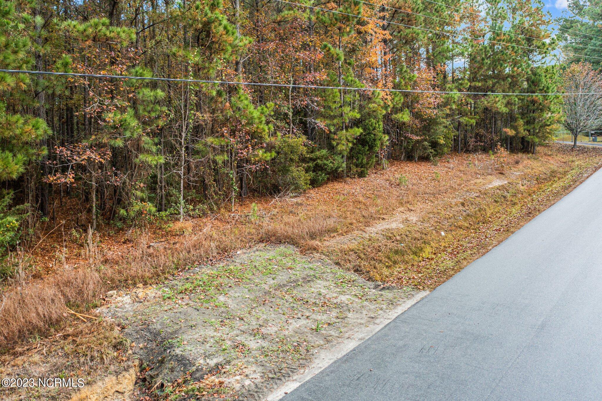 131 Henson Road Property Photo 5