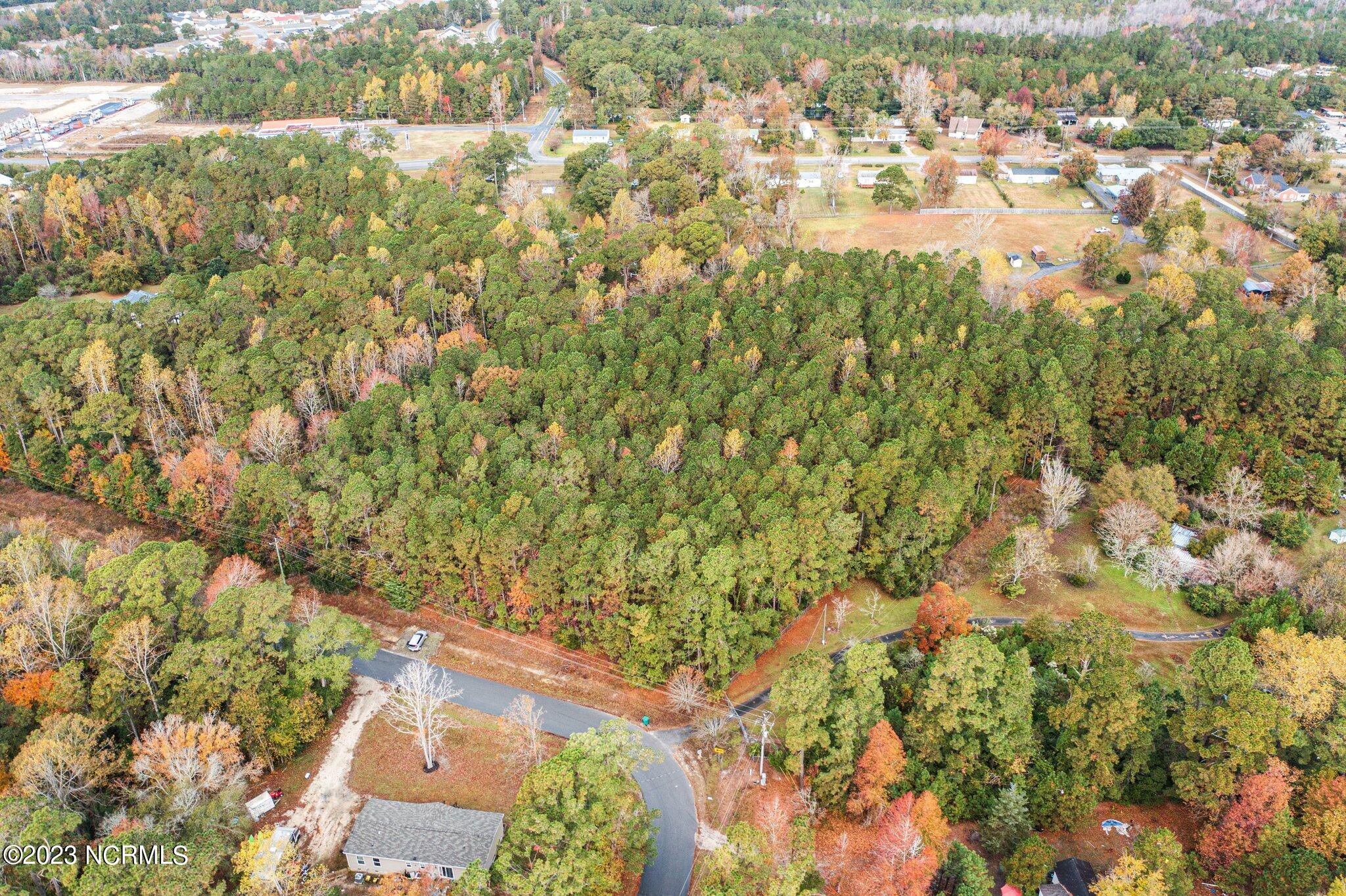 131 Henson Road Property Photo 6