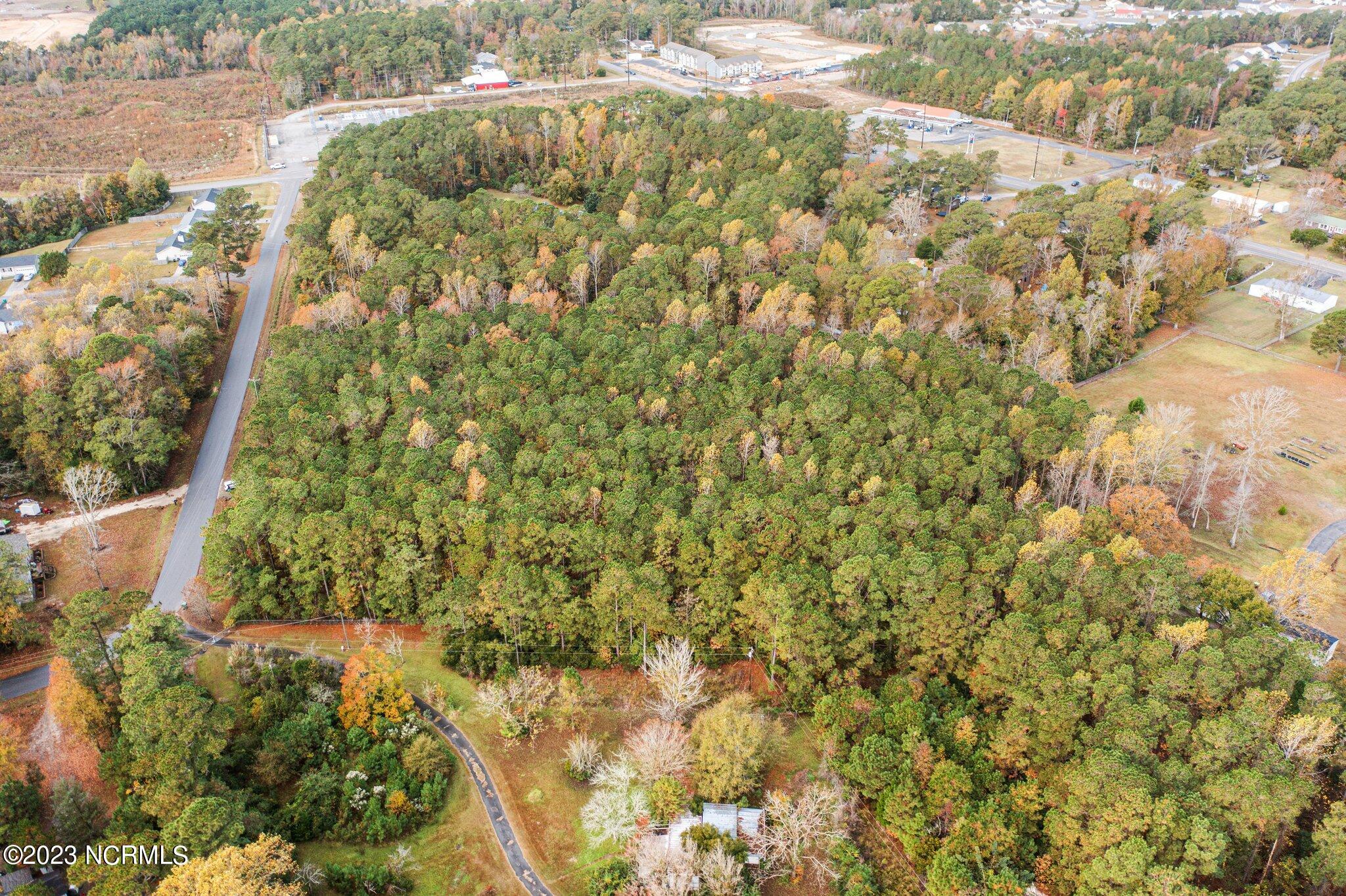 131 Henson Road Property Photo 8