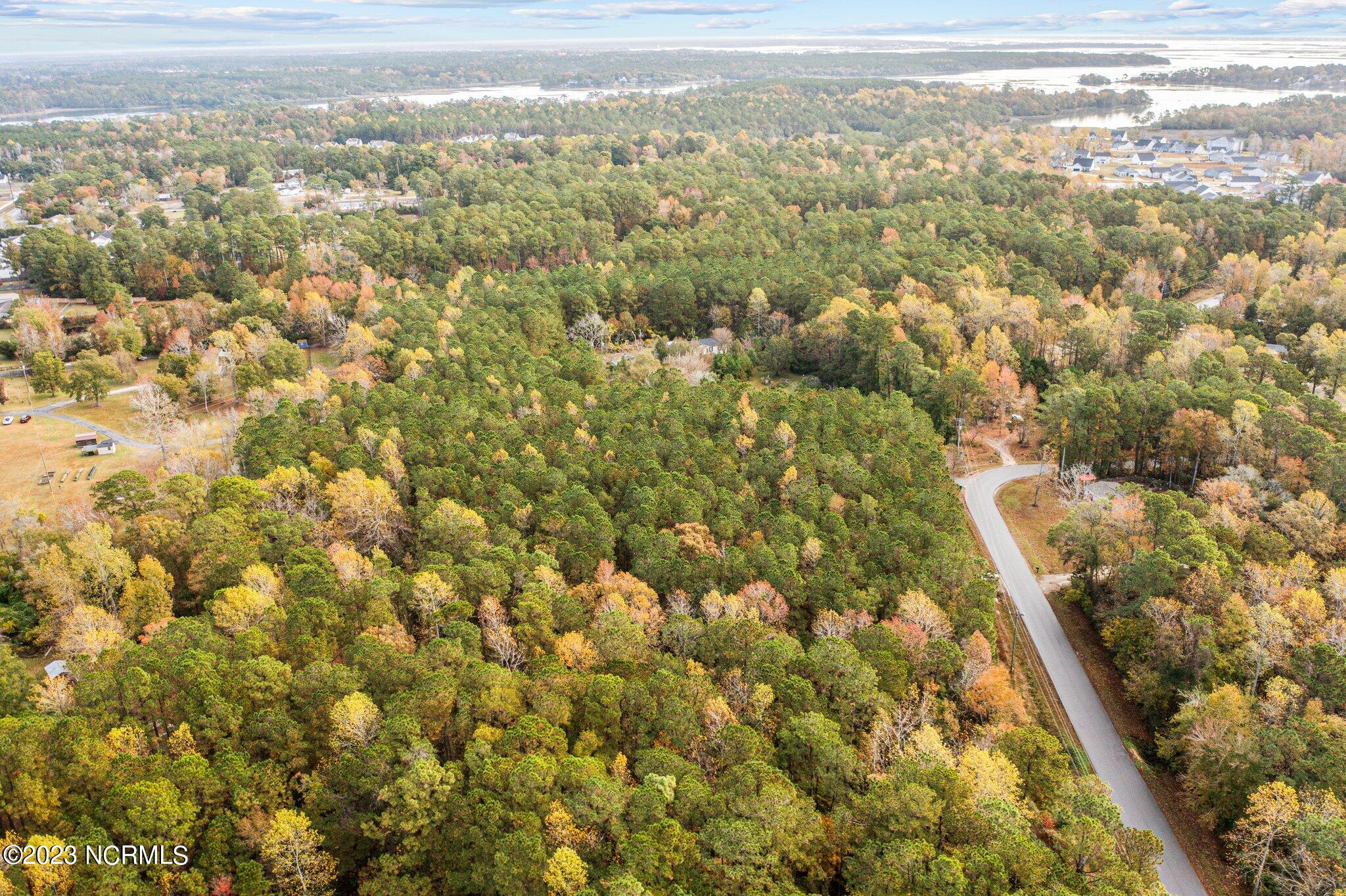 131 Henson Road Property Photo 12