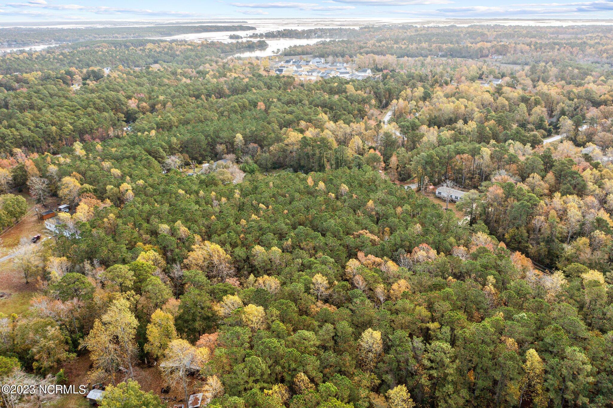 131 Henson Road Property Photo 13