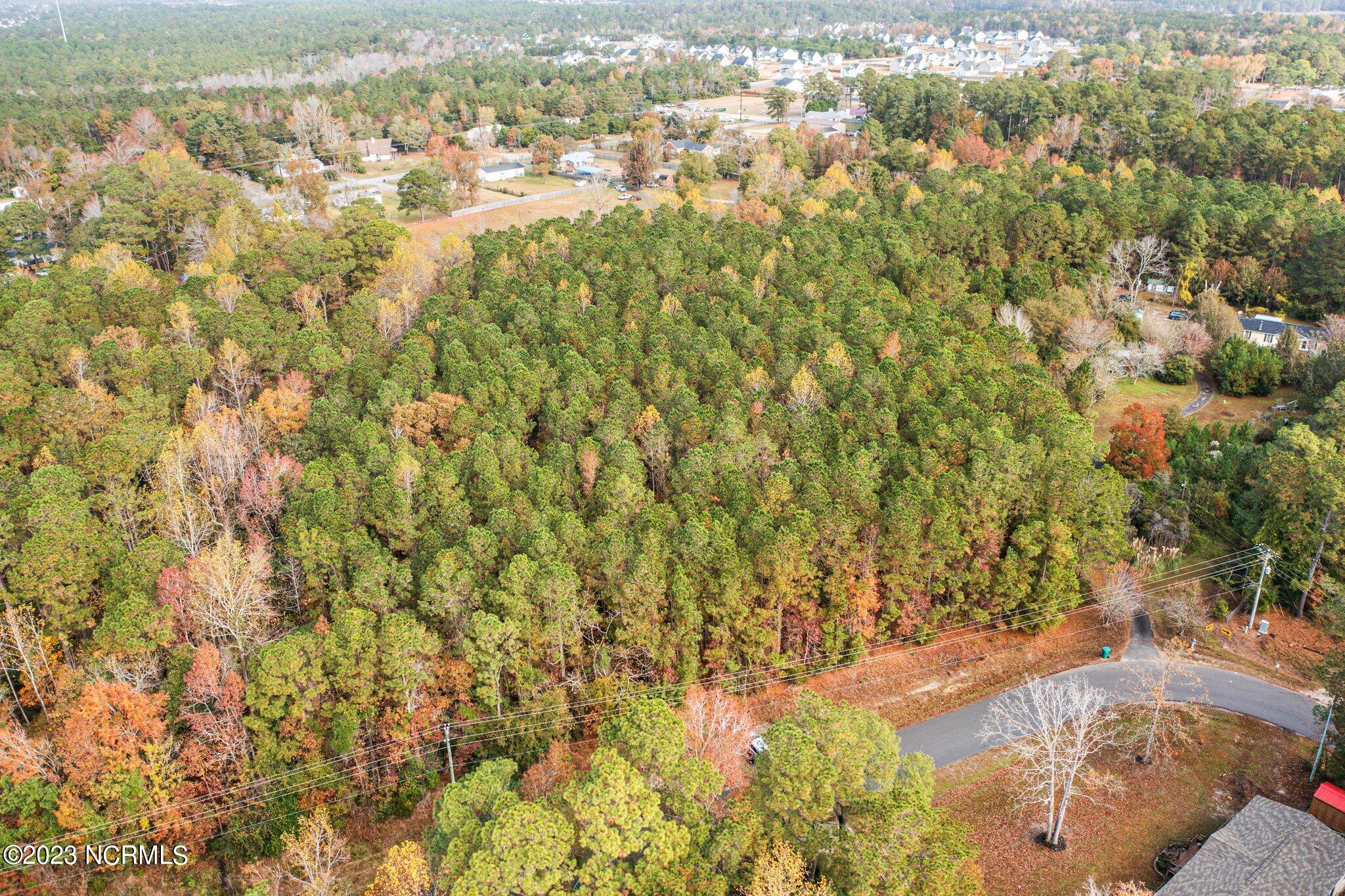 131 Henson Road Property Photo 19