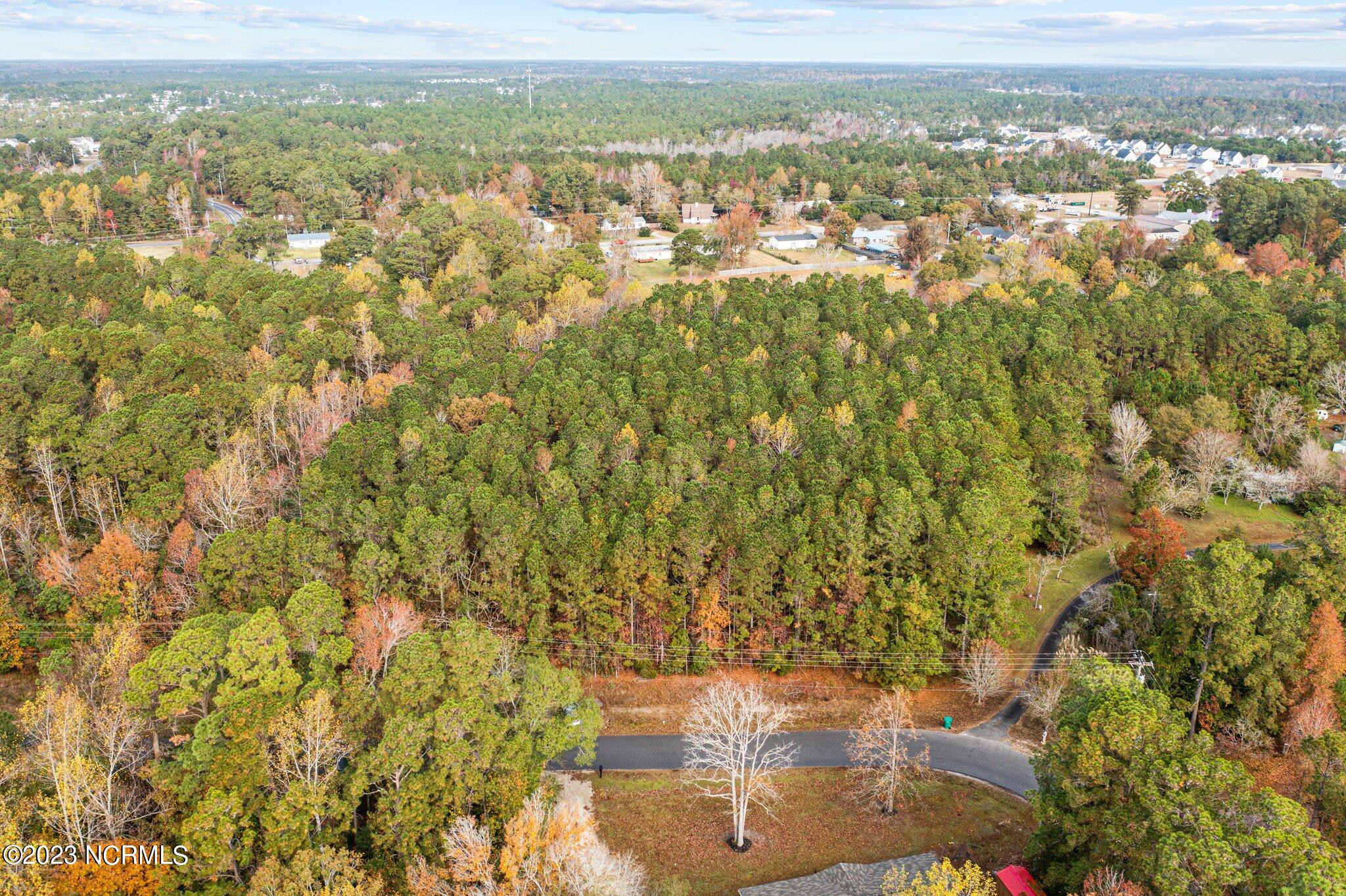 131 Henson Road Property Photo 20