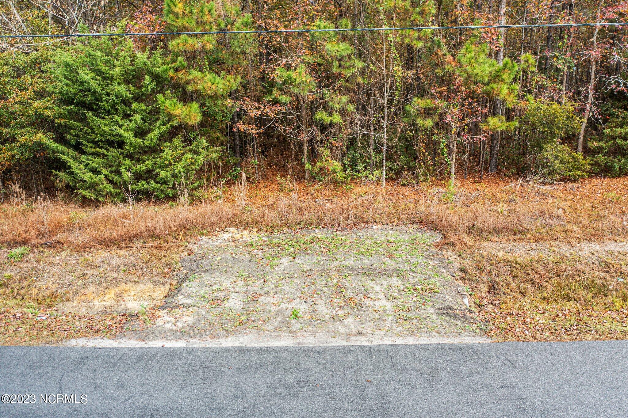 131 Henson Road Property Photo 23
