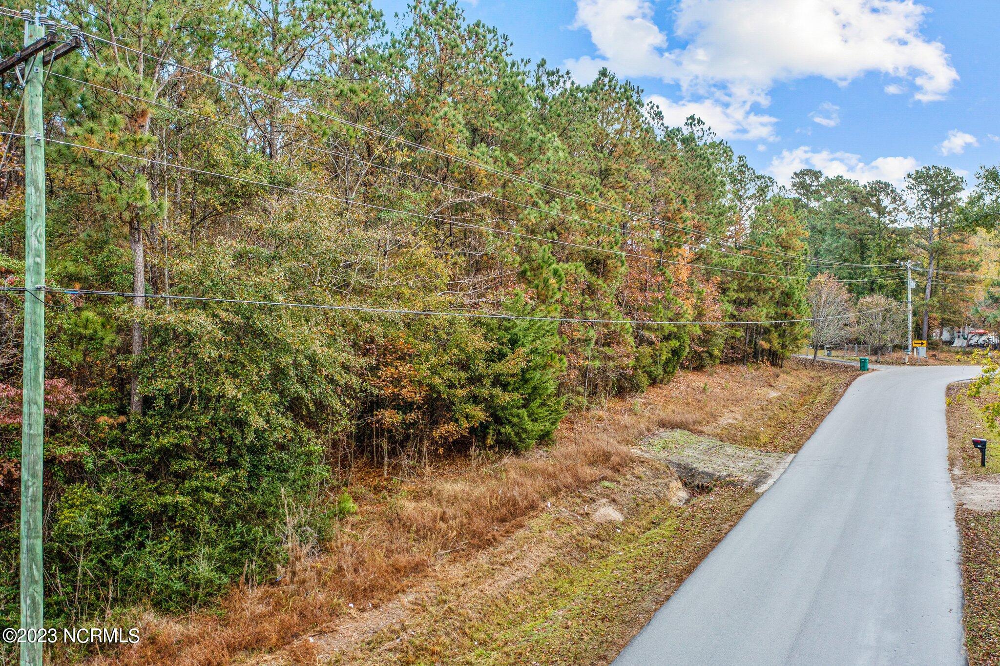 131 Henson Road Property Photo 25