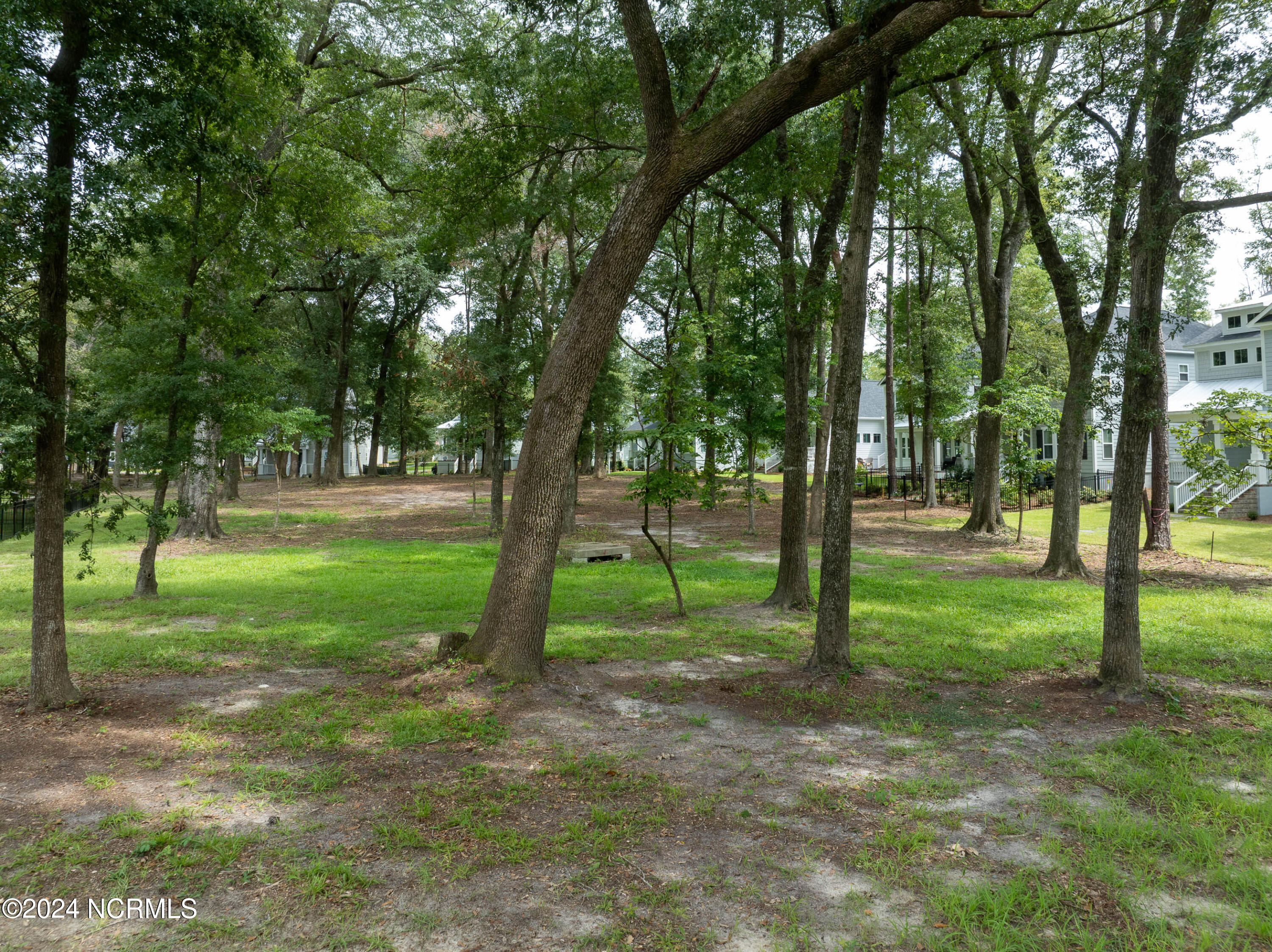 1124 Cottage Park Alley Property Photo 39