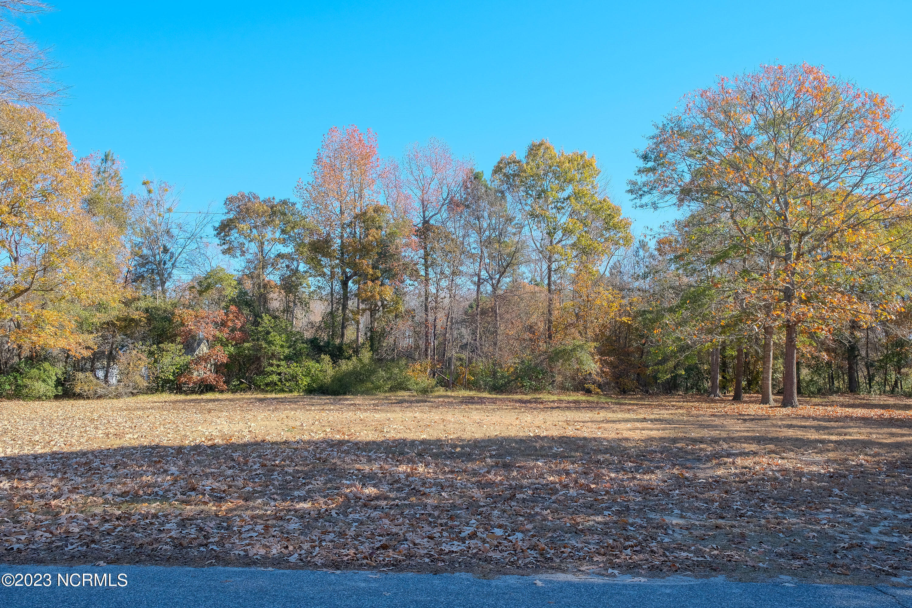 205 Lake Wood Drive Property Photo 4