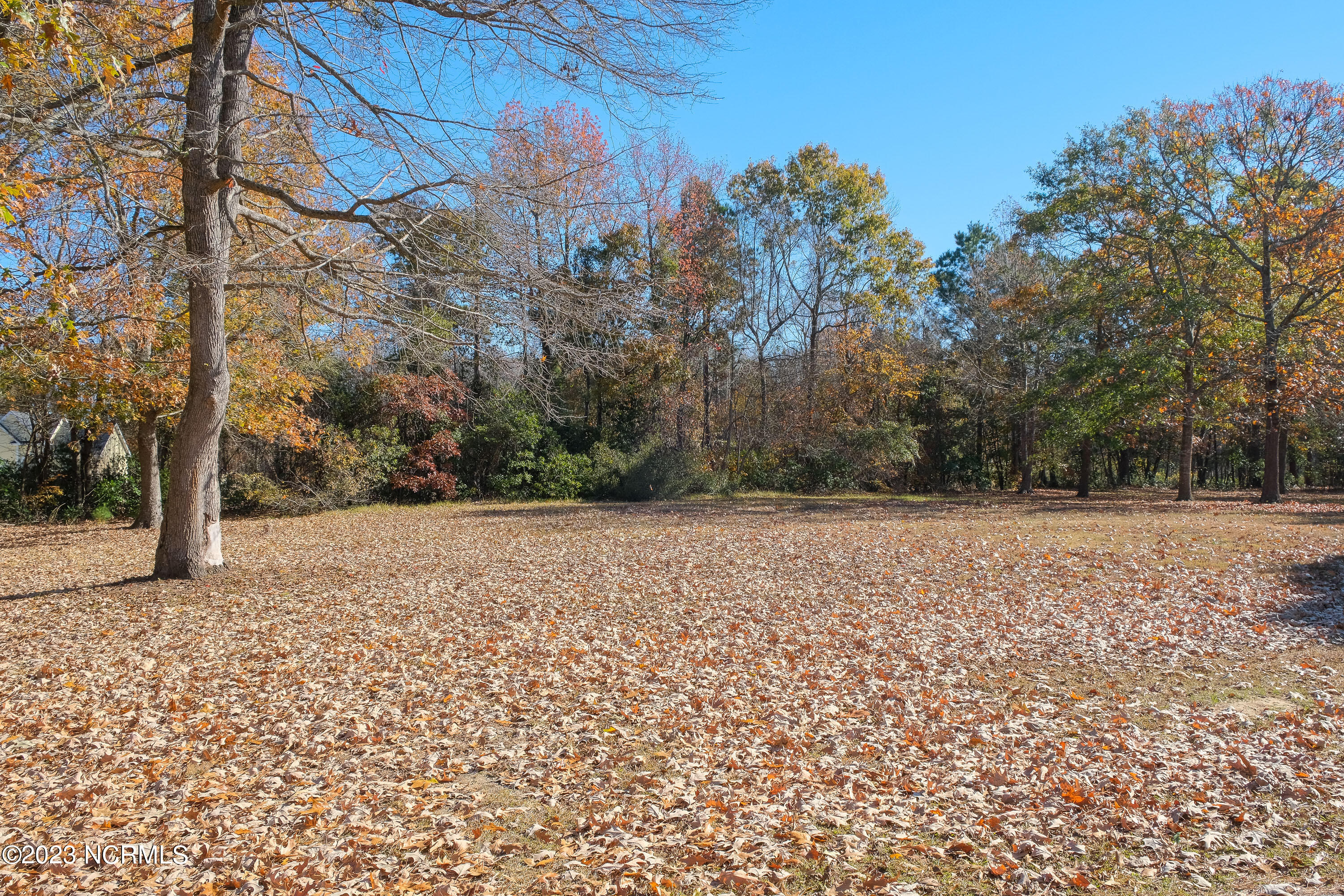205 Lake Wood Drive Property Photo 6