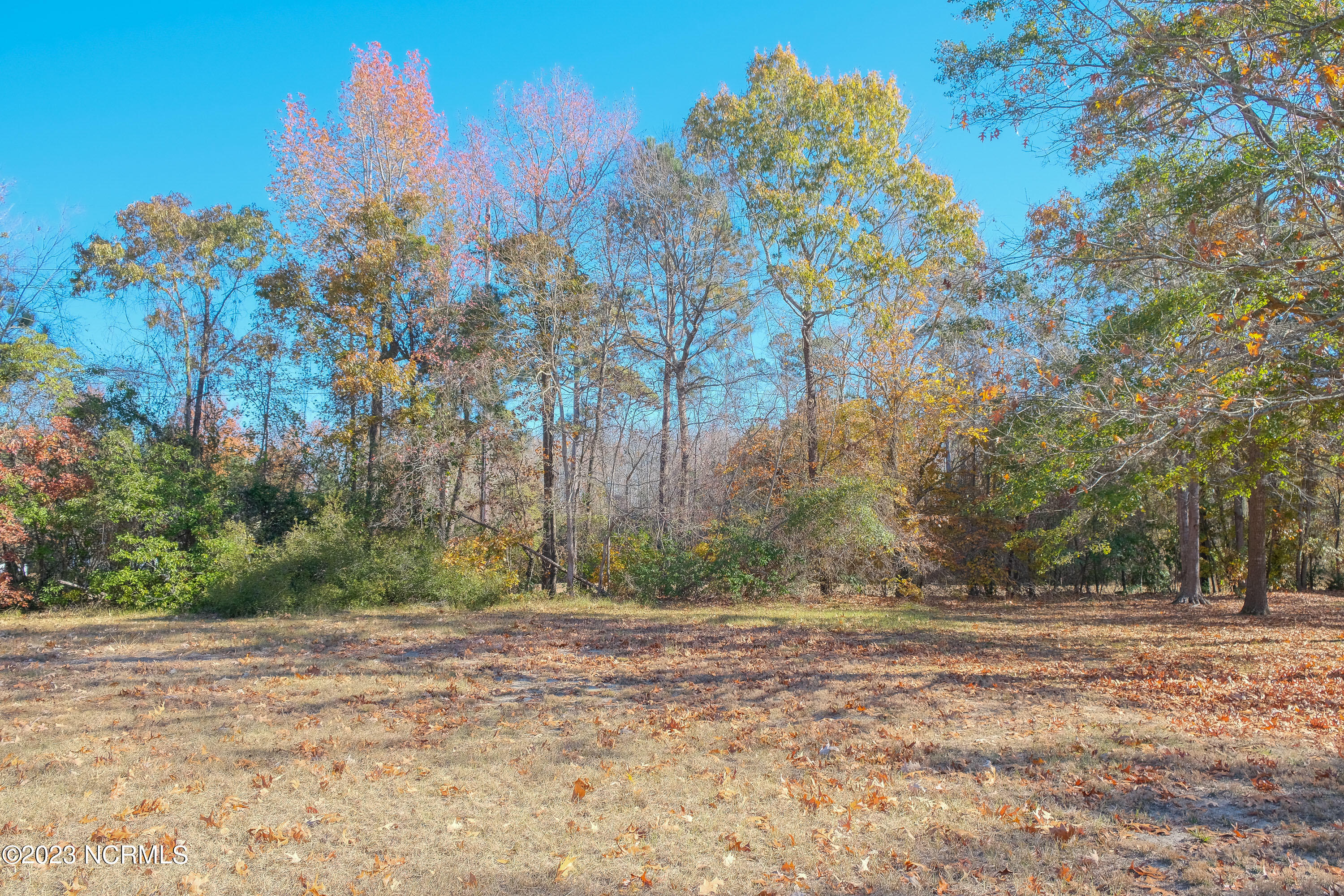 205 Lake Wood Drive Property Photo 7