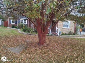 610 Old Us 17 Property Photo 23