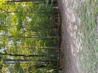 91a Palomino Road Property Photo