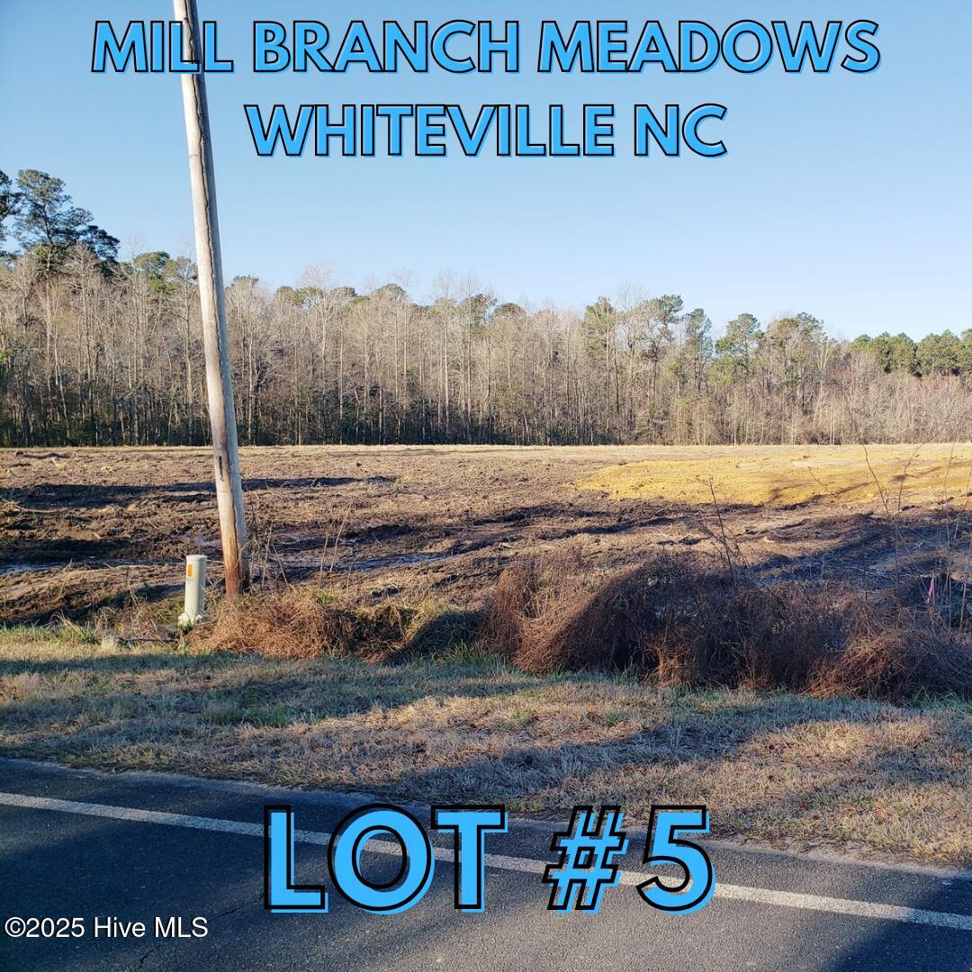 1796 Harrelsonville Road Property Photo 1