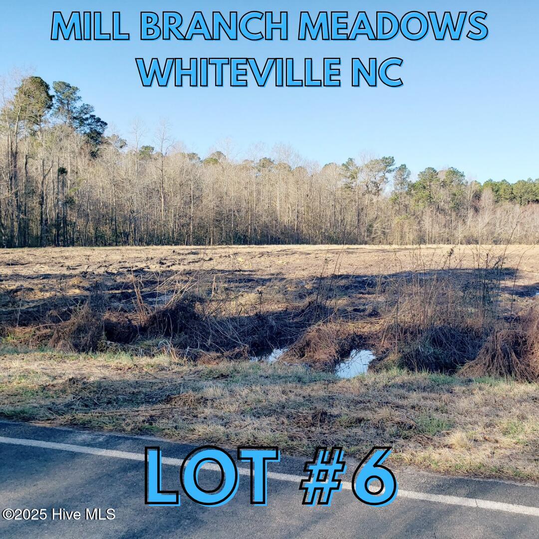1818 Harrelsonville Road Property Photo 1