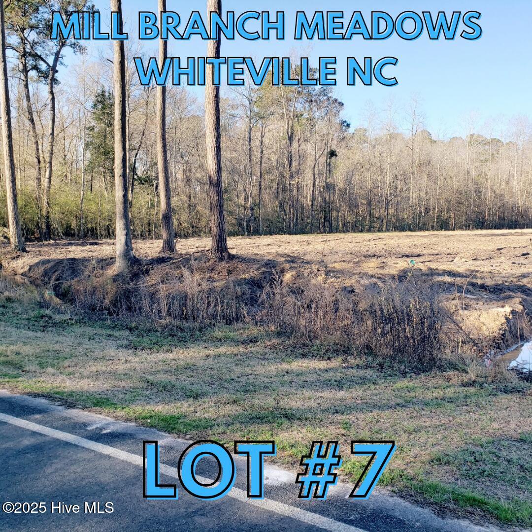 1834 Harrelsonville Road Property Photo 1