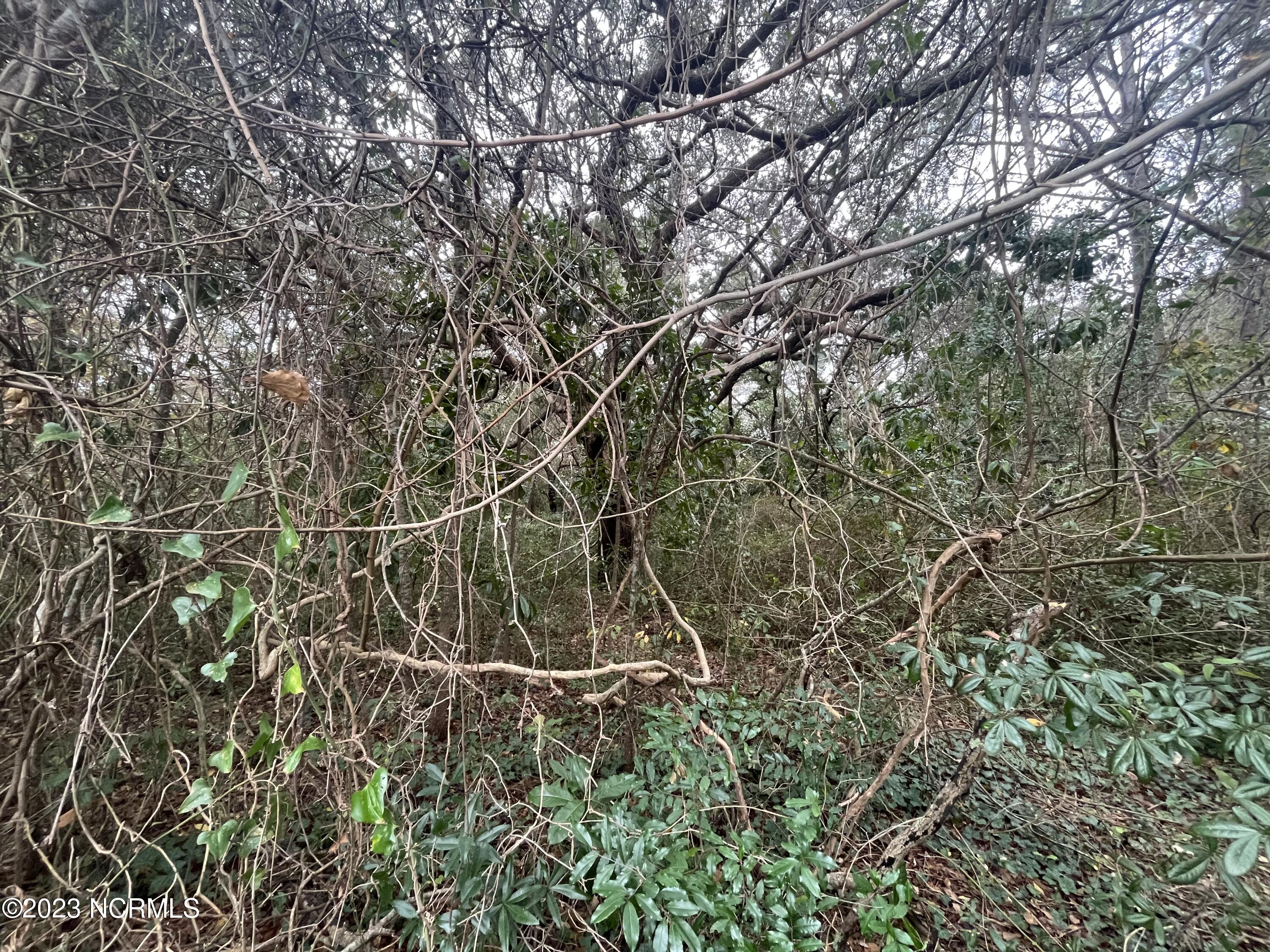 1128 Beasley Road Property Photo 3