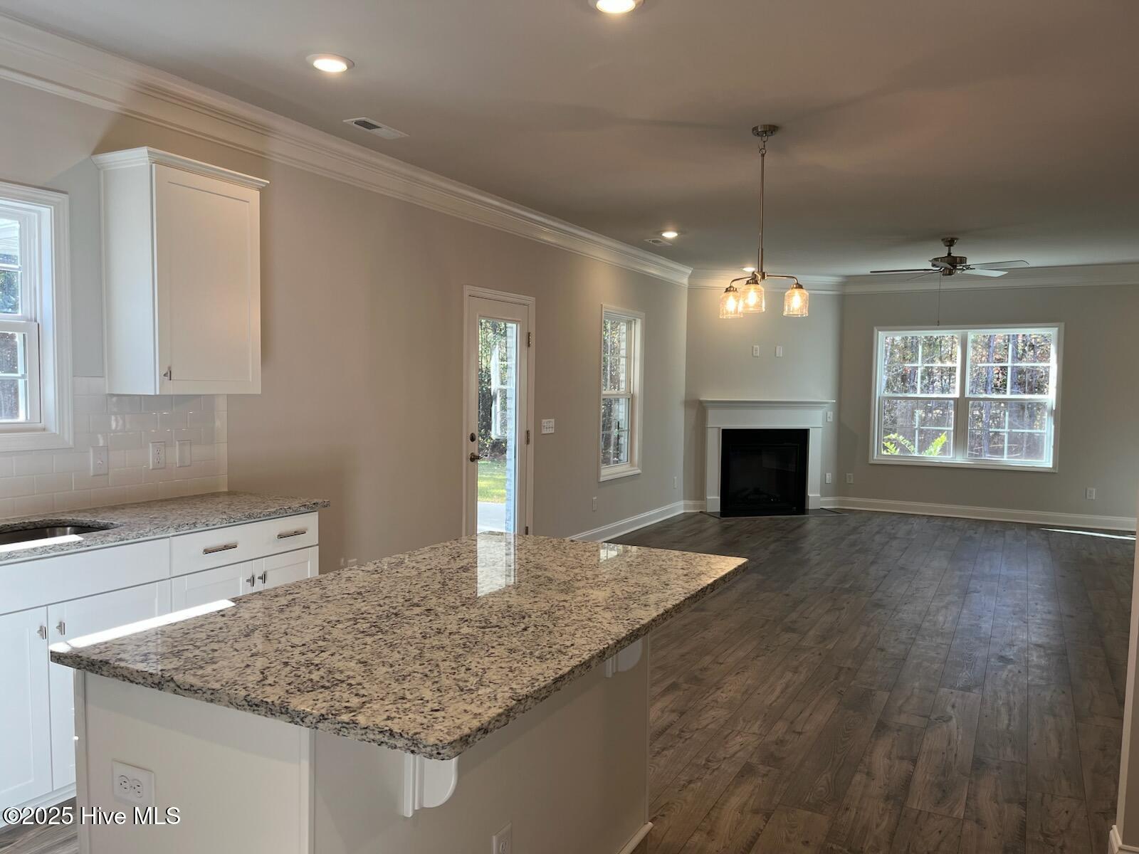 1221 Mandevilla Drive Property Photo 11