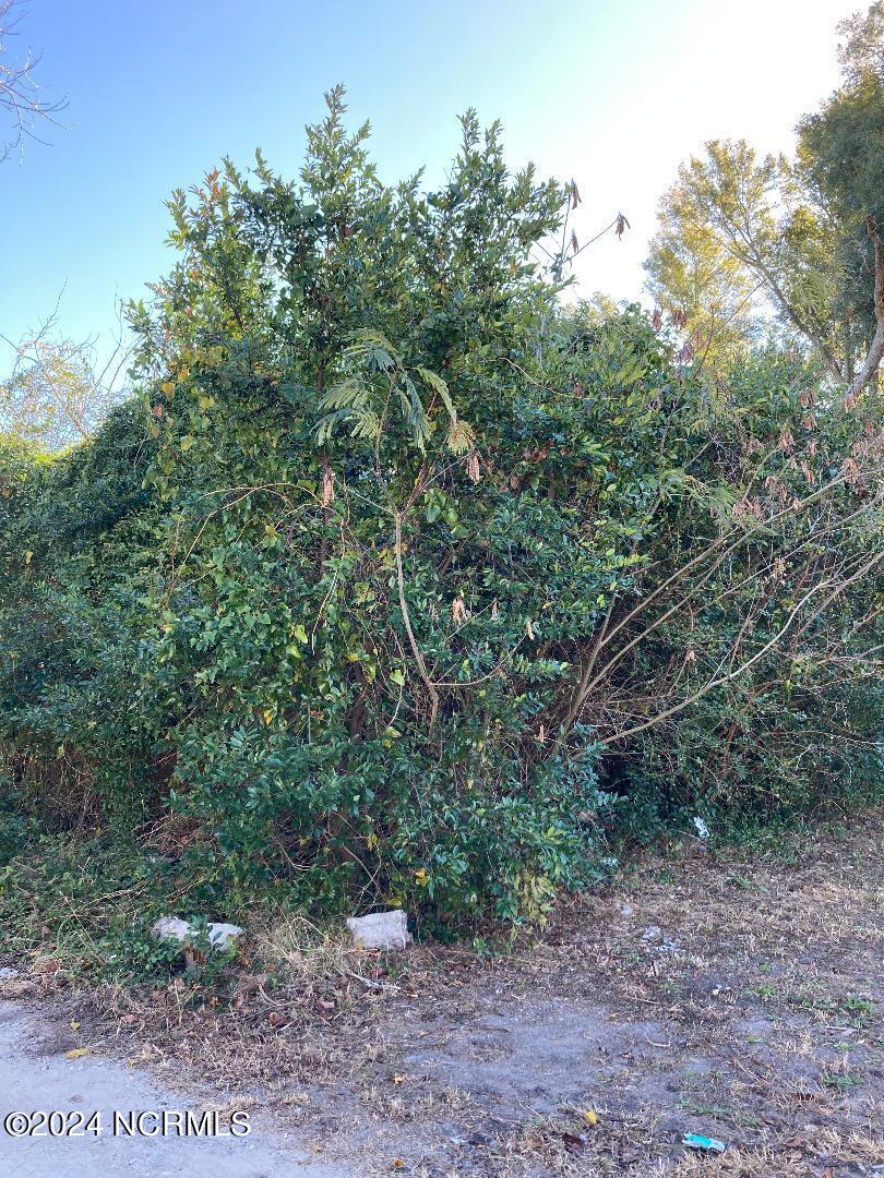 914 Starkeys Alley Property Photo 1