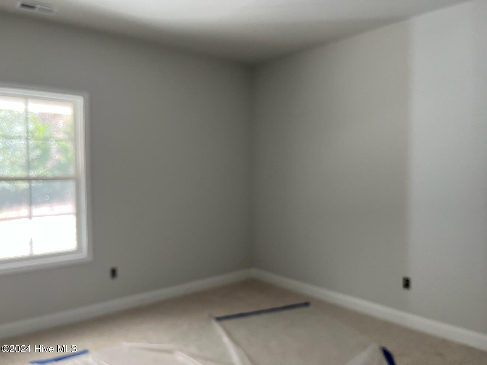 1201 Liset Court Property Photo 11