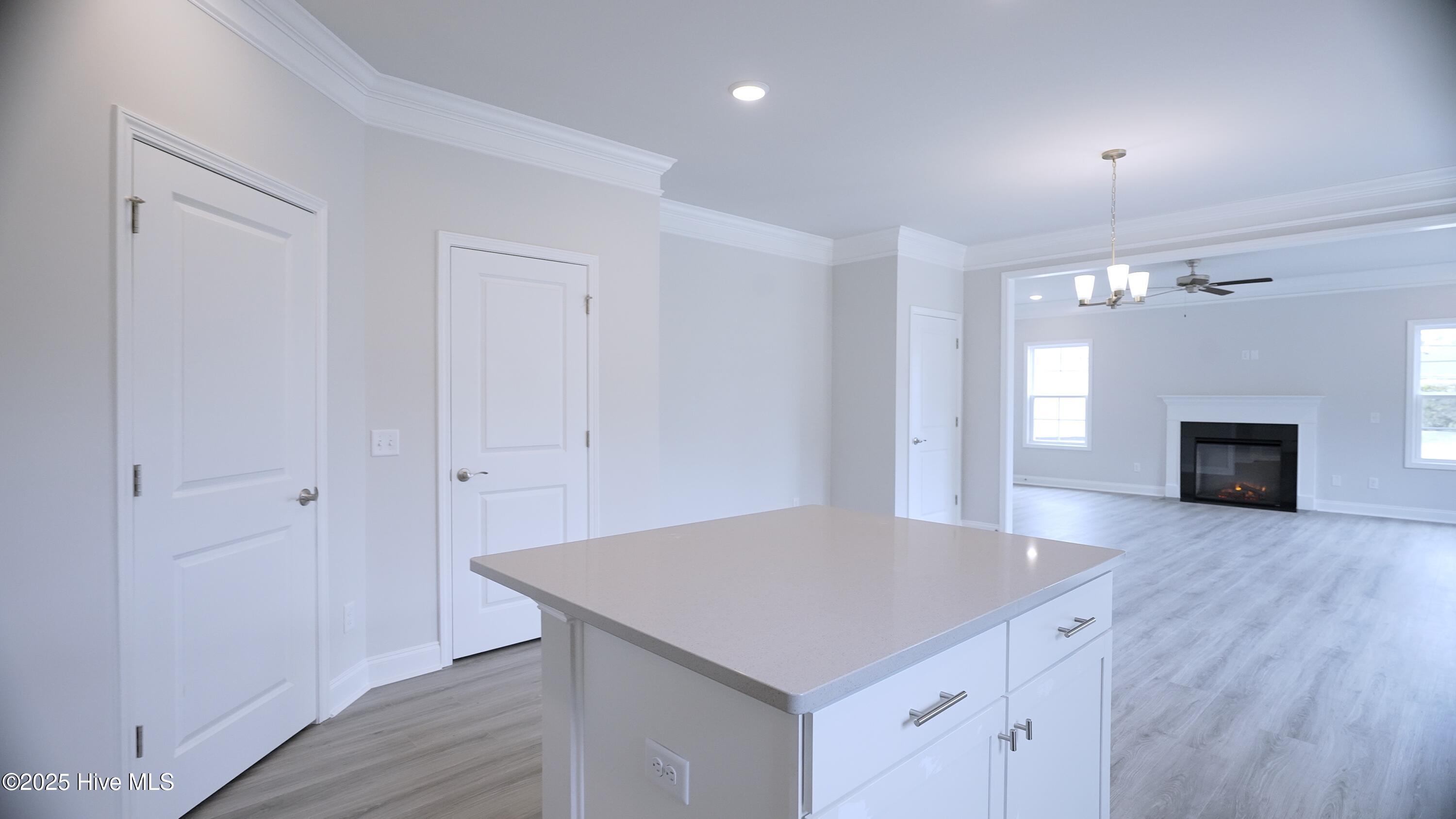 1200 Isu Court Property Photo 19