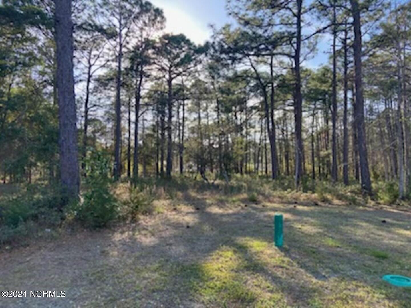80 Pinewood Drive Property Photo 7