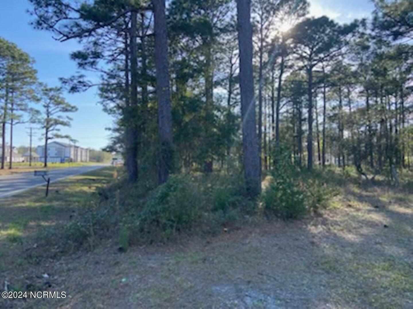 80 Pinewood Drive Property Photo 8