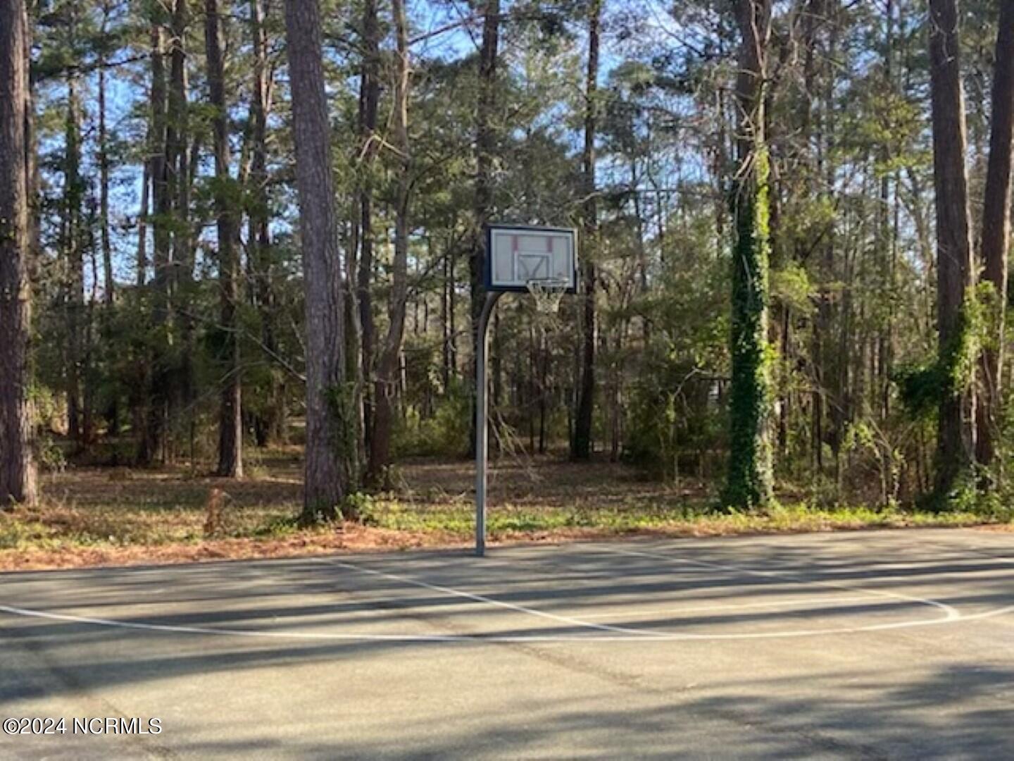 80 Pinewood Drive Property Photo 14