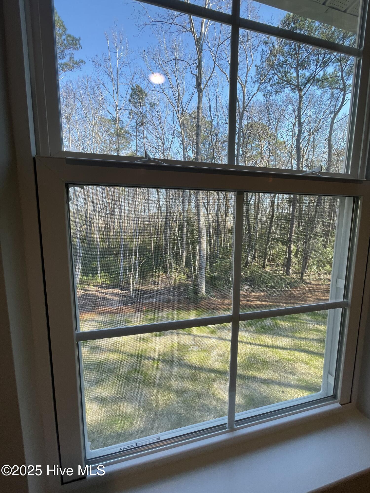 801 Pantego Boulevard Property Photo 22