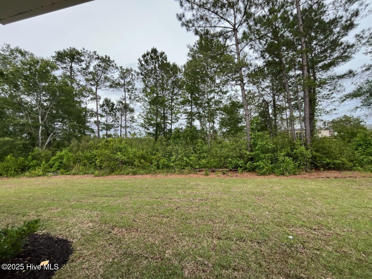 1224 Mandevilla Drive Property Photo 27
