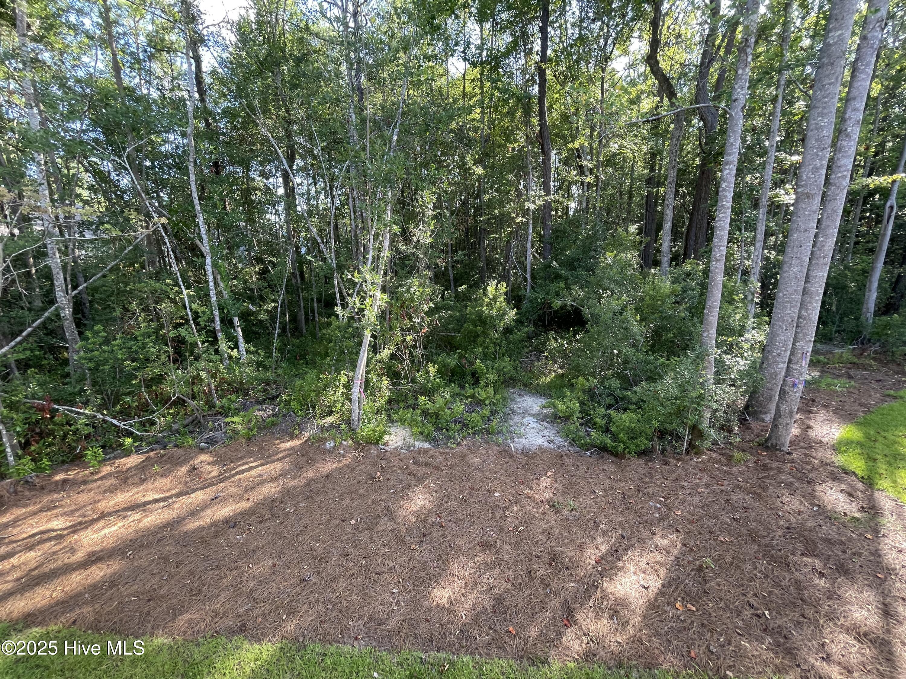 838 Pantego Boulevard Property Photo 16