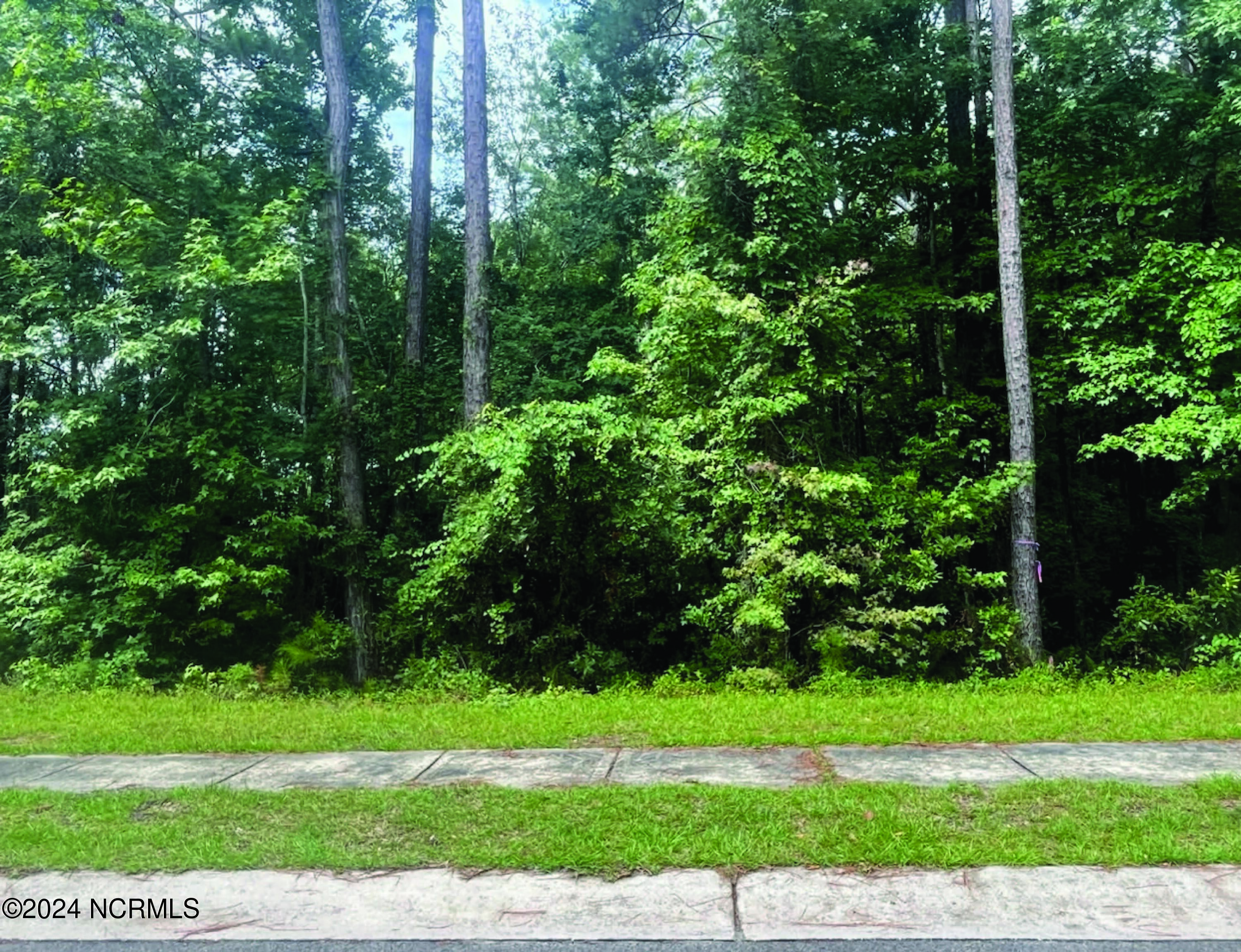 832 Pantego Boulevard Property Photo 2