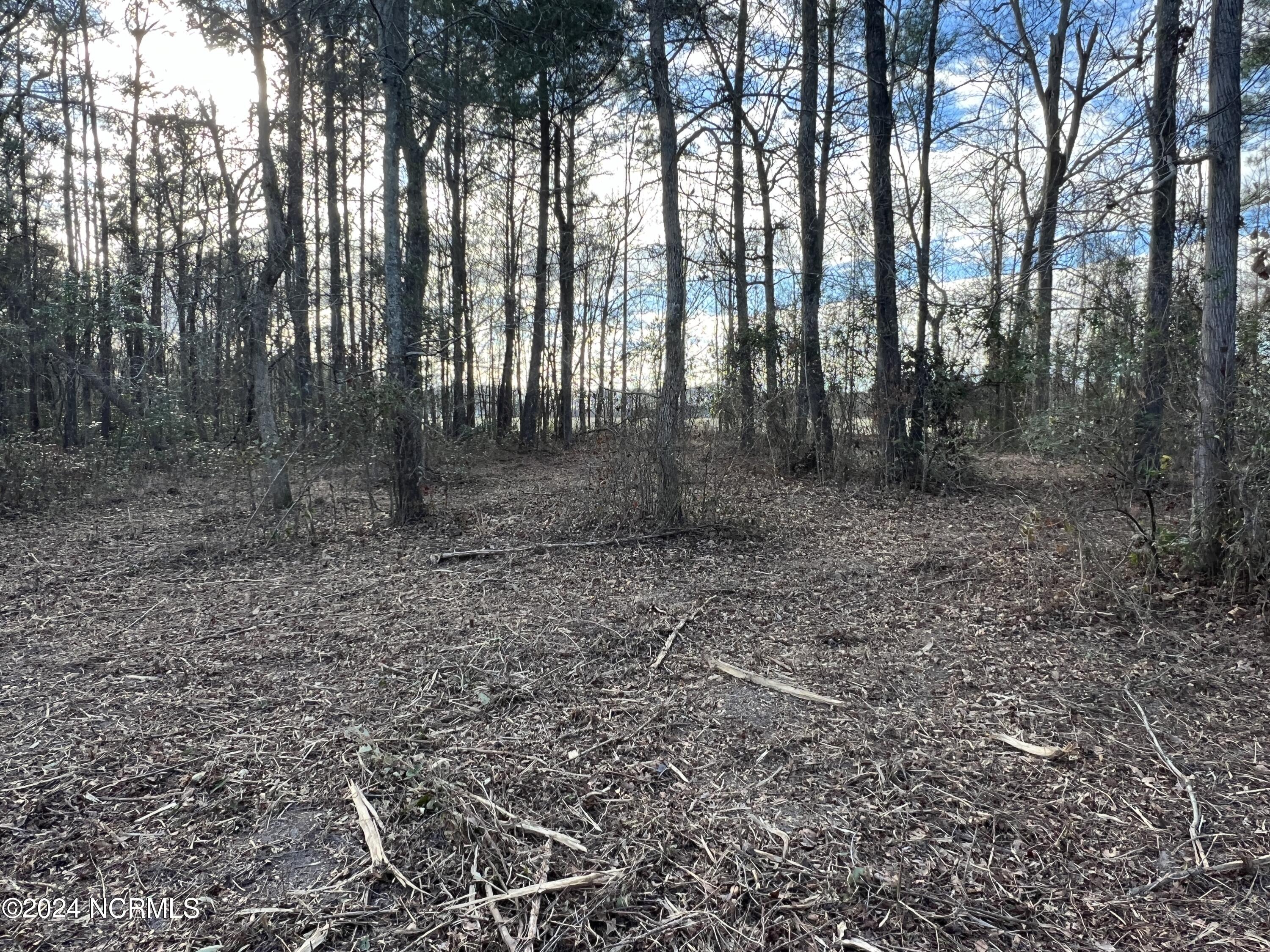 Lot #4 Bowspirit Place Property Photo 5