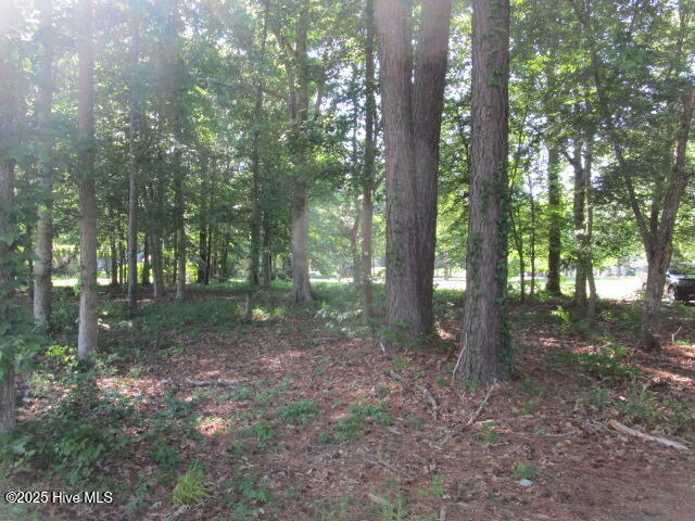 Lot 1 Roanoke Drive Property Photo 19