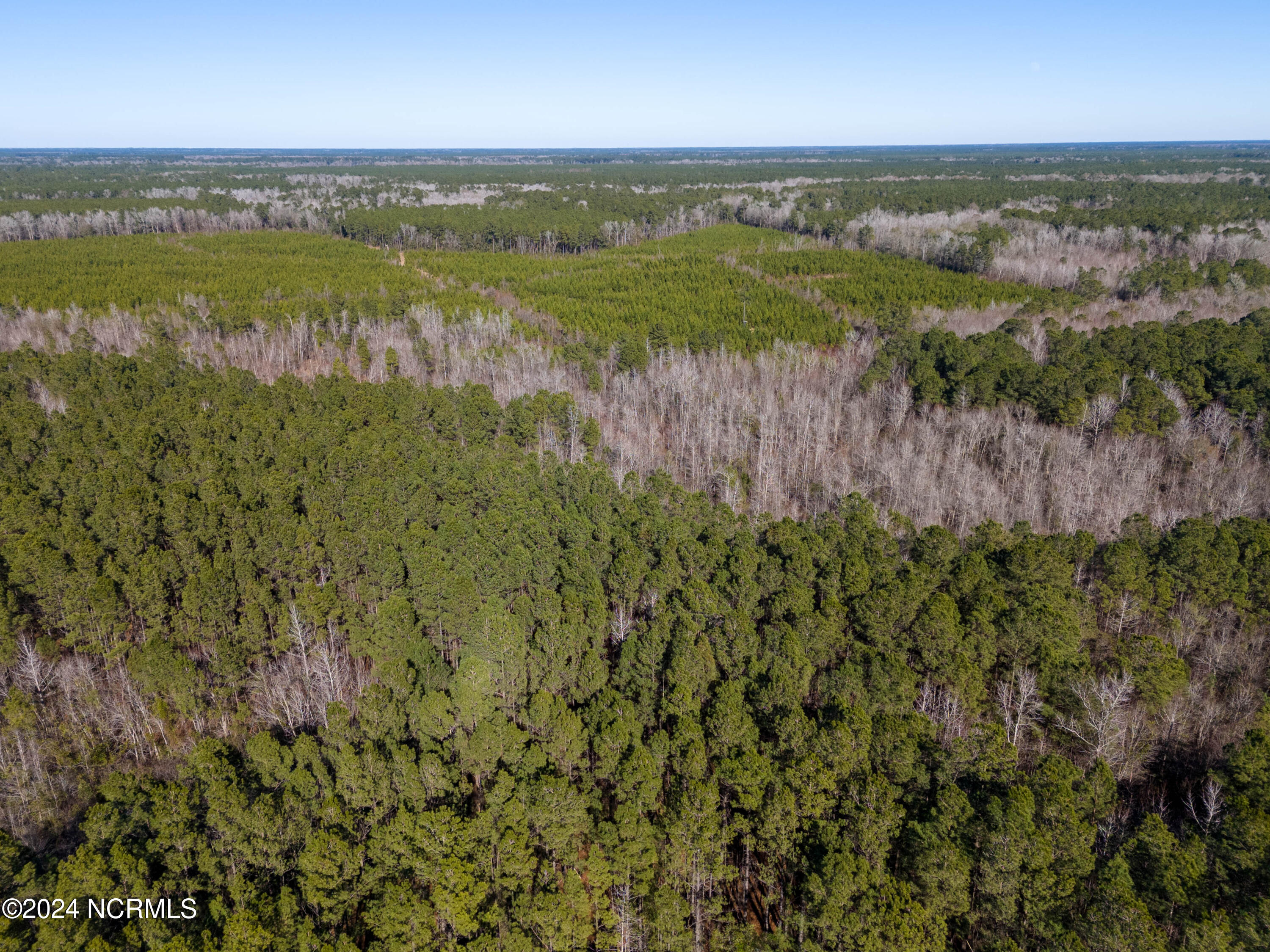 00 Sykes Town Road Property Photo 38